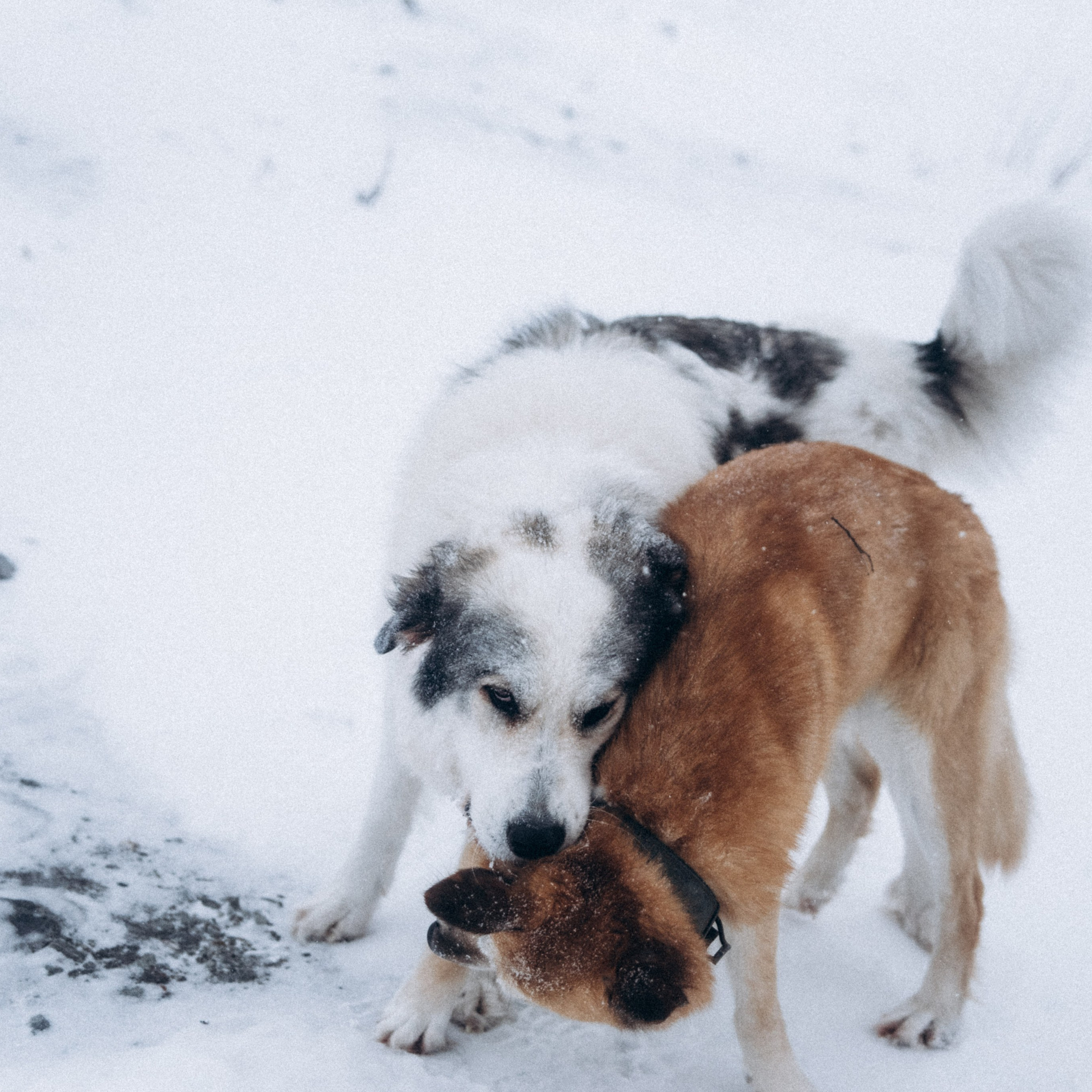 Мурманск. Anita_photo