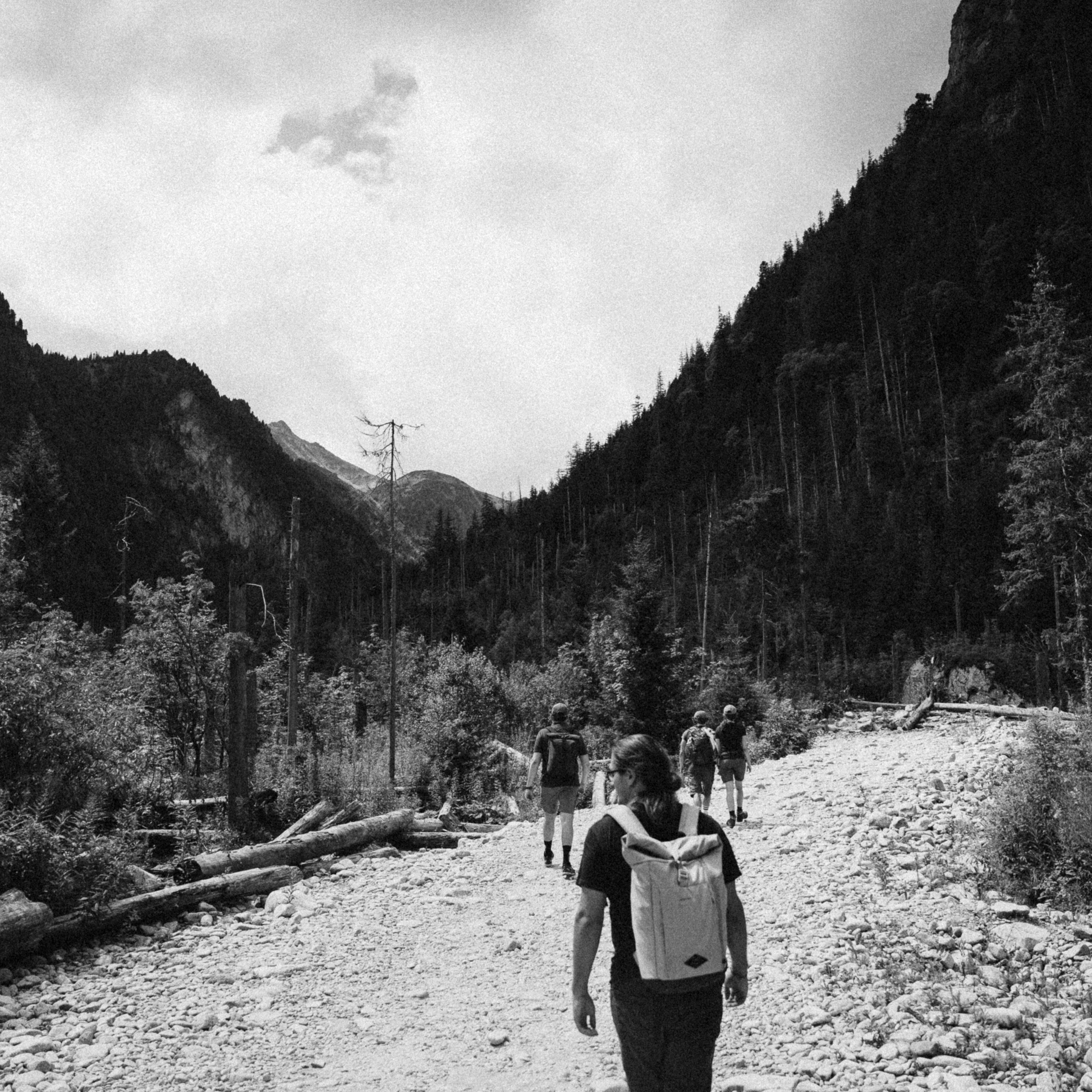 Закопаны. Anita_photo