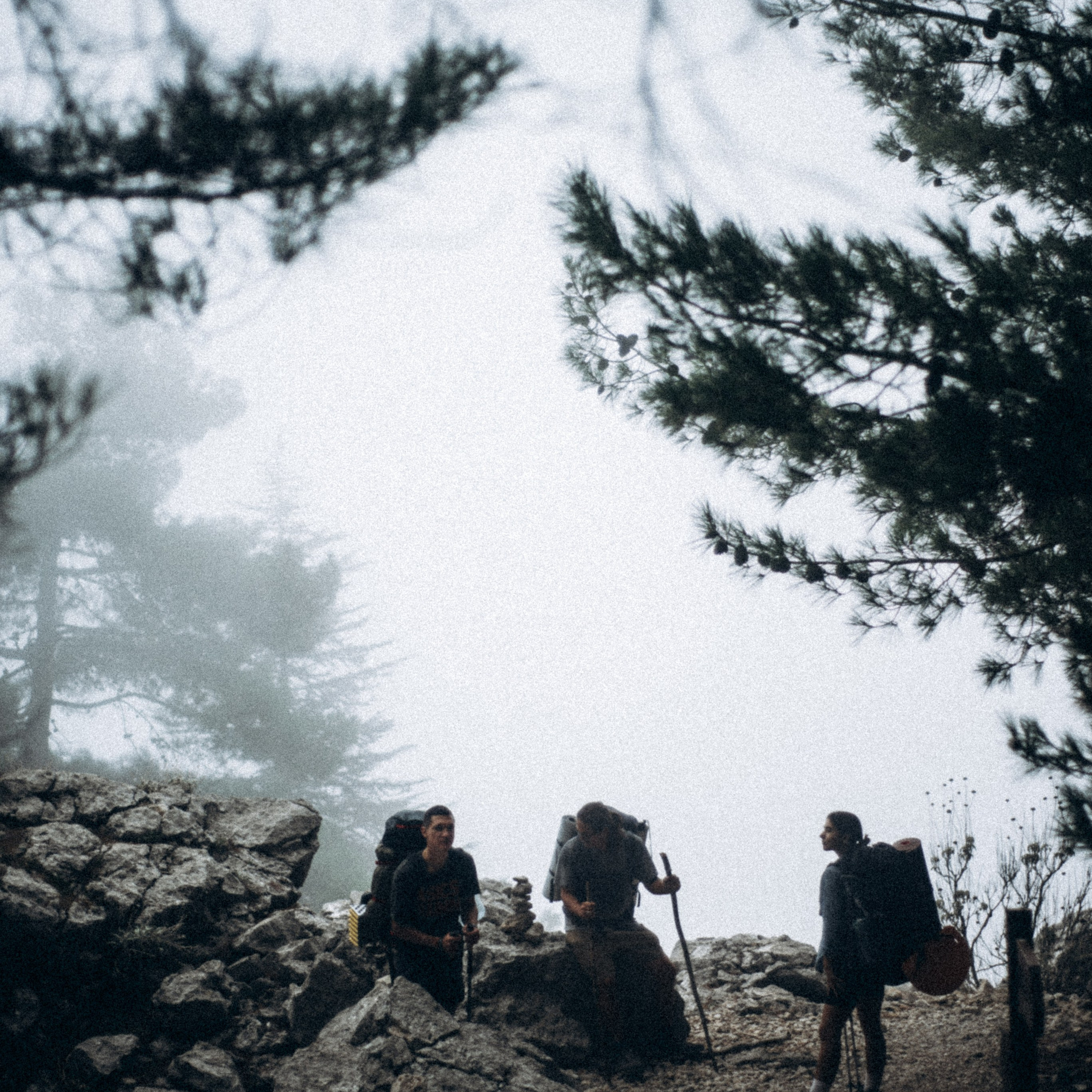 Ликийская Тропа 🇹🇷 Восточная Часть. Anita_photo