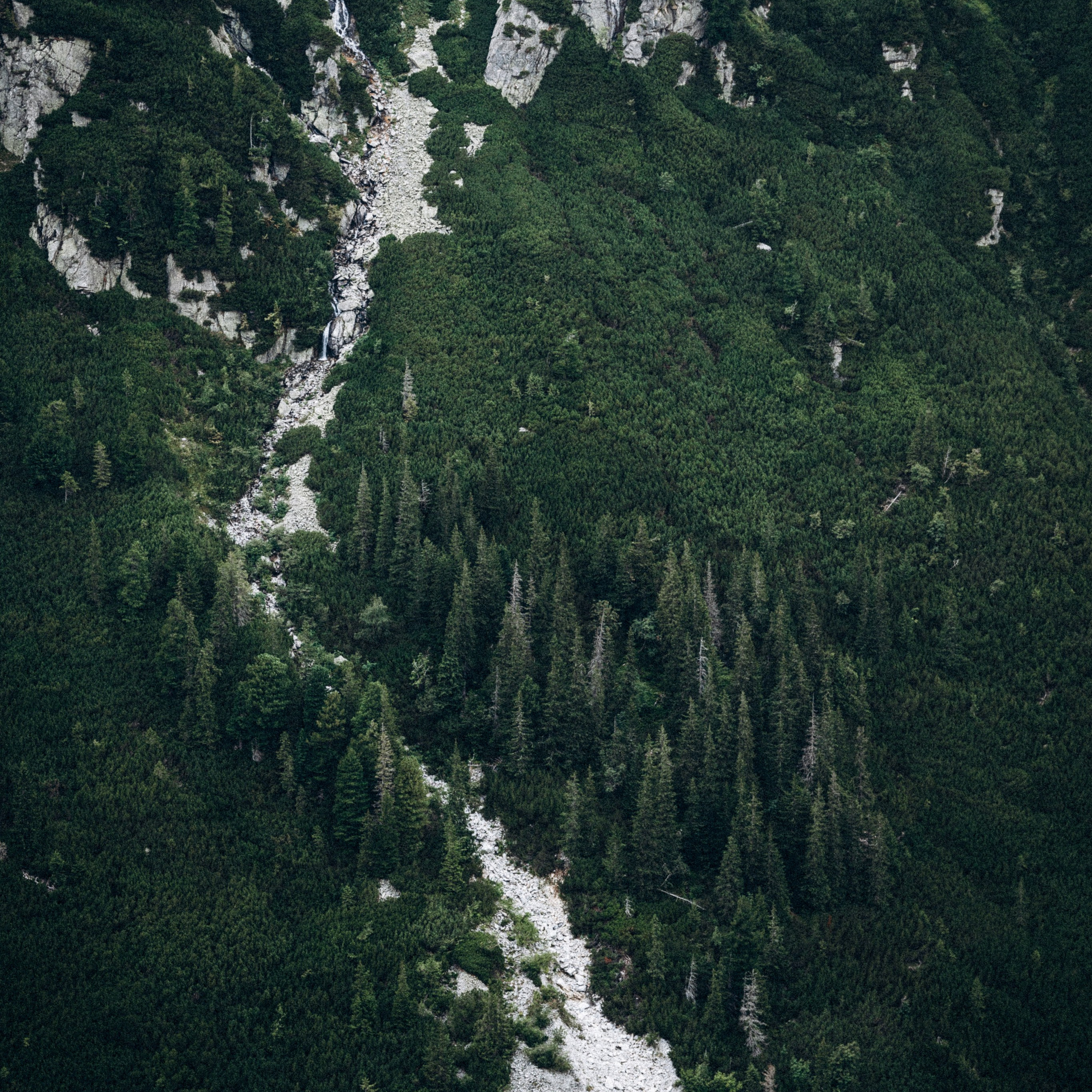 Закопаны. Anita_photo