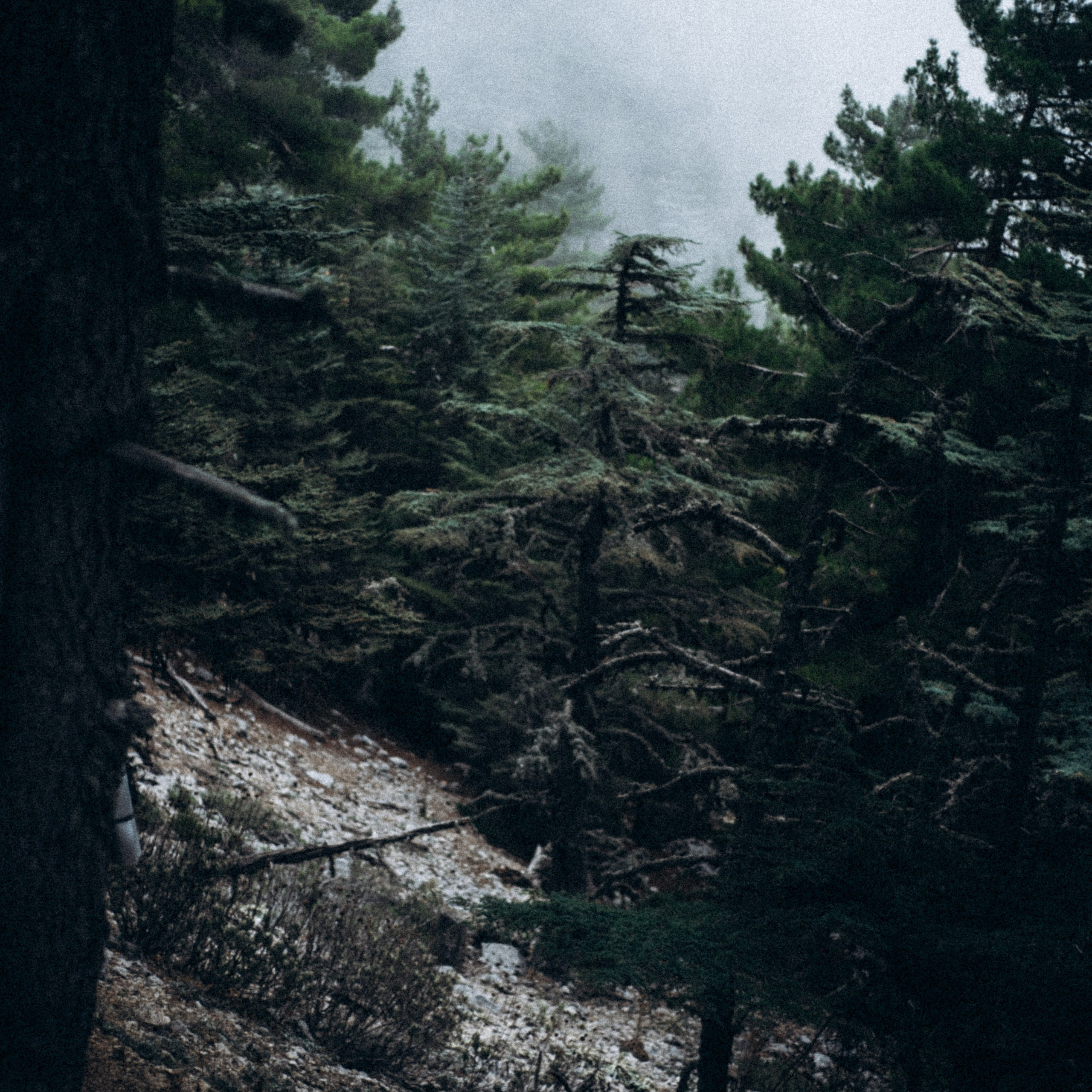 Ликийская Тропа 🇹🇷 Восточная Часть. Anita_photo