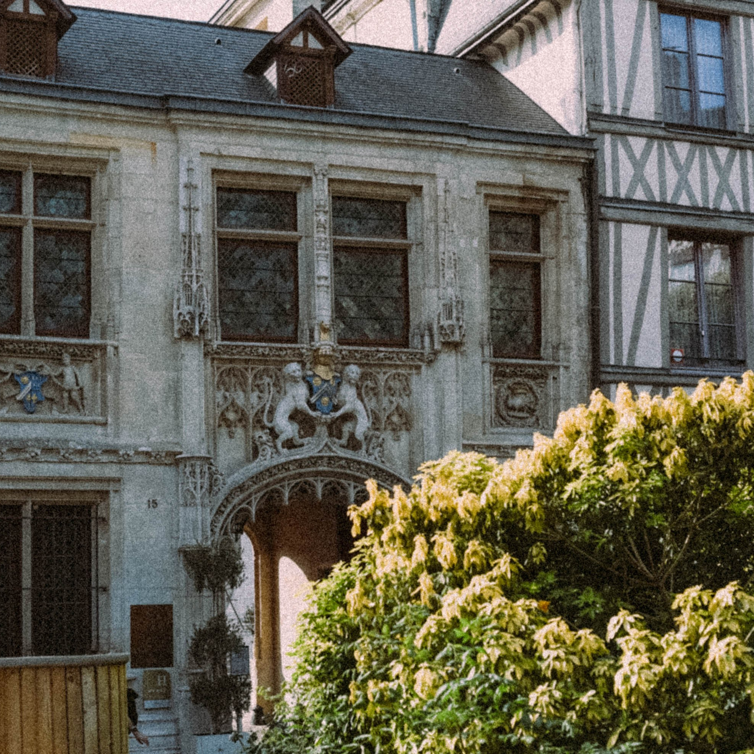 Нормандия, Франция 2025. Anita_photo