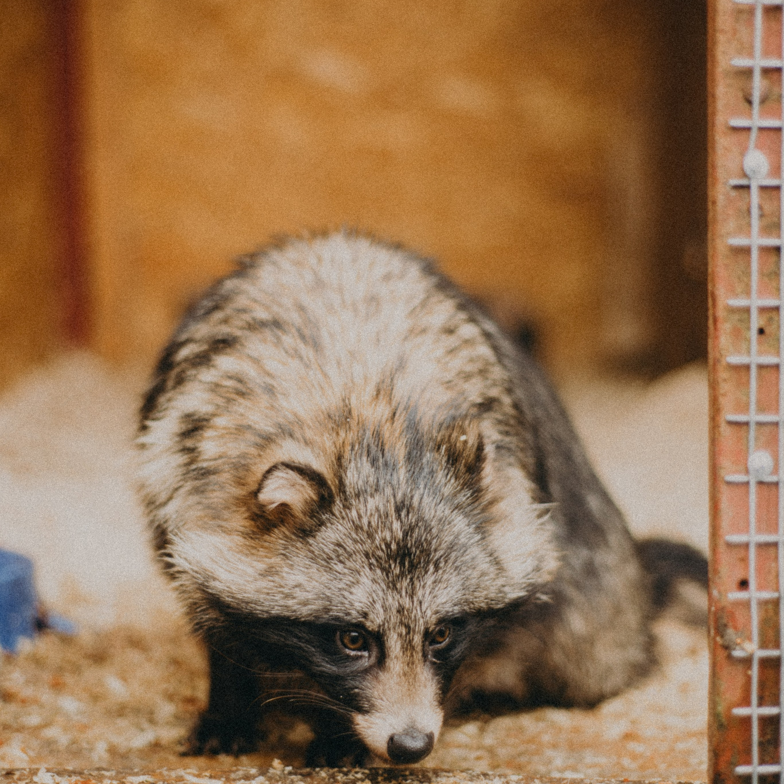 Блог фотографа Кос. Anita_photo