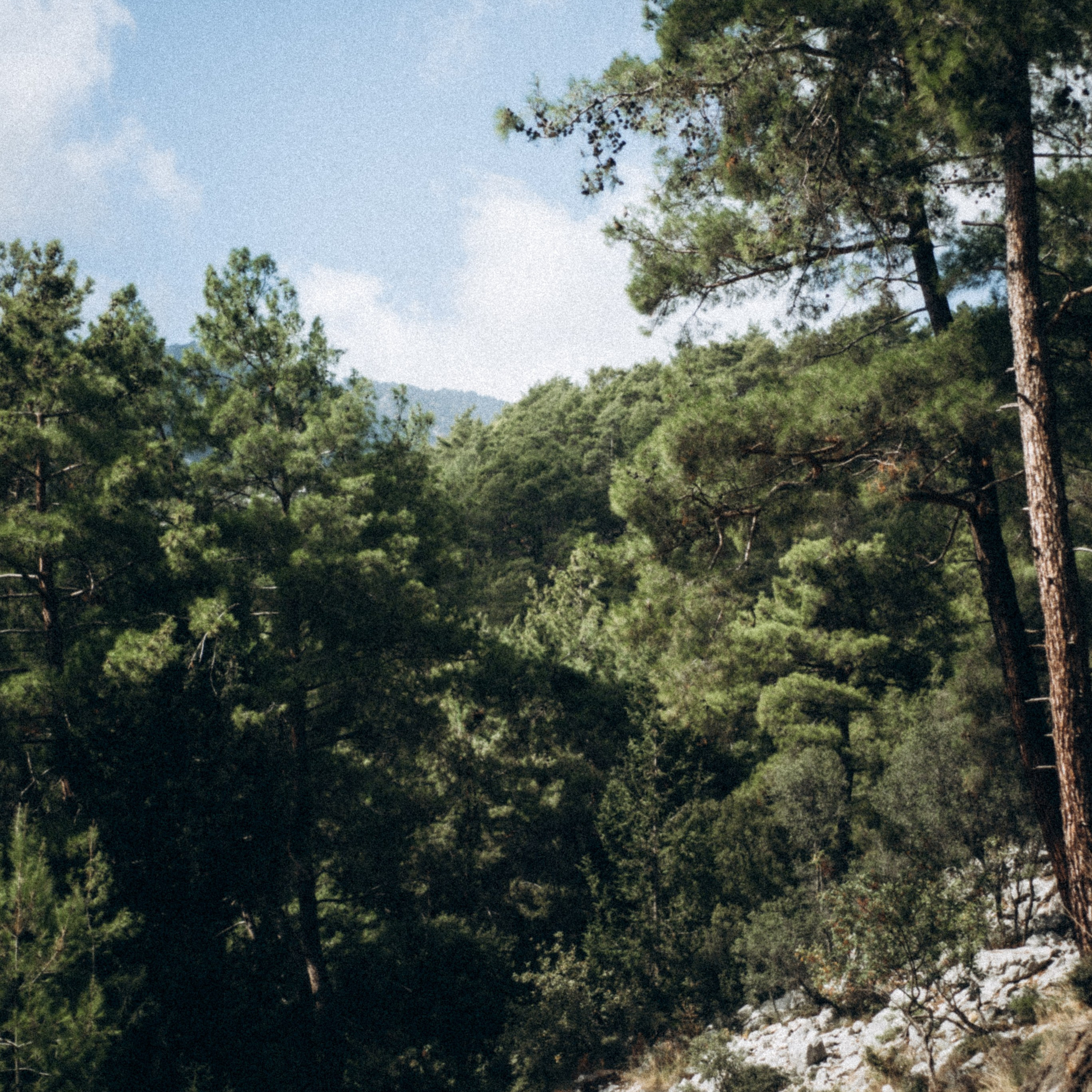 Ликийская Тропа 🇹🇷 Восточная Часть. Anita_photo