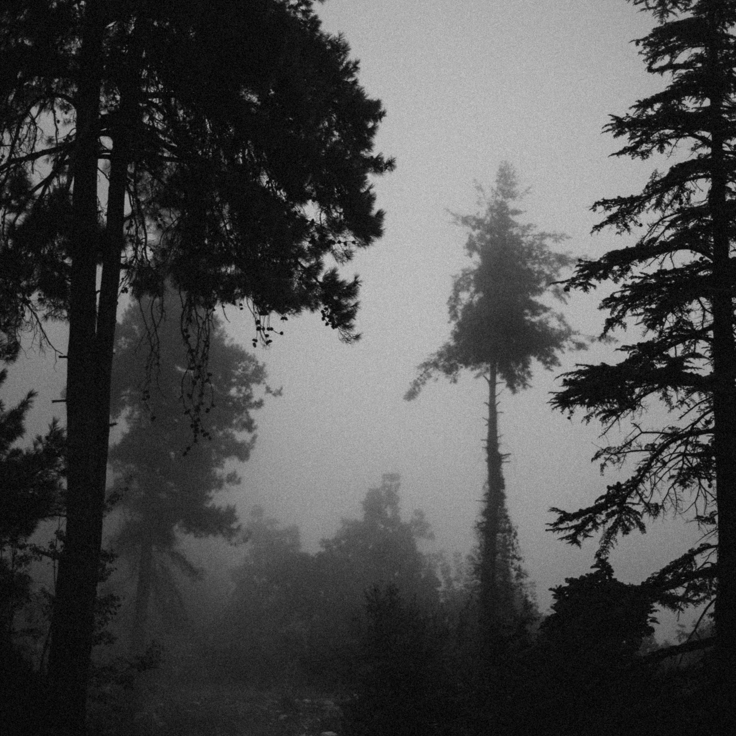 Ликийская Тропа 🇹🇷 Восточная Часть. Anita_photo