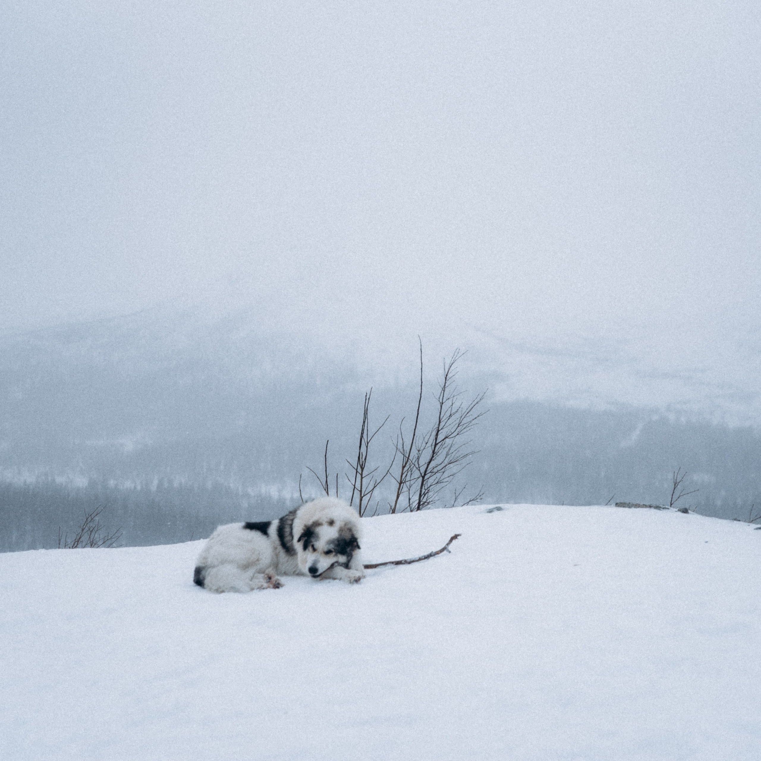 Мурманск. Anita_photo