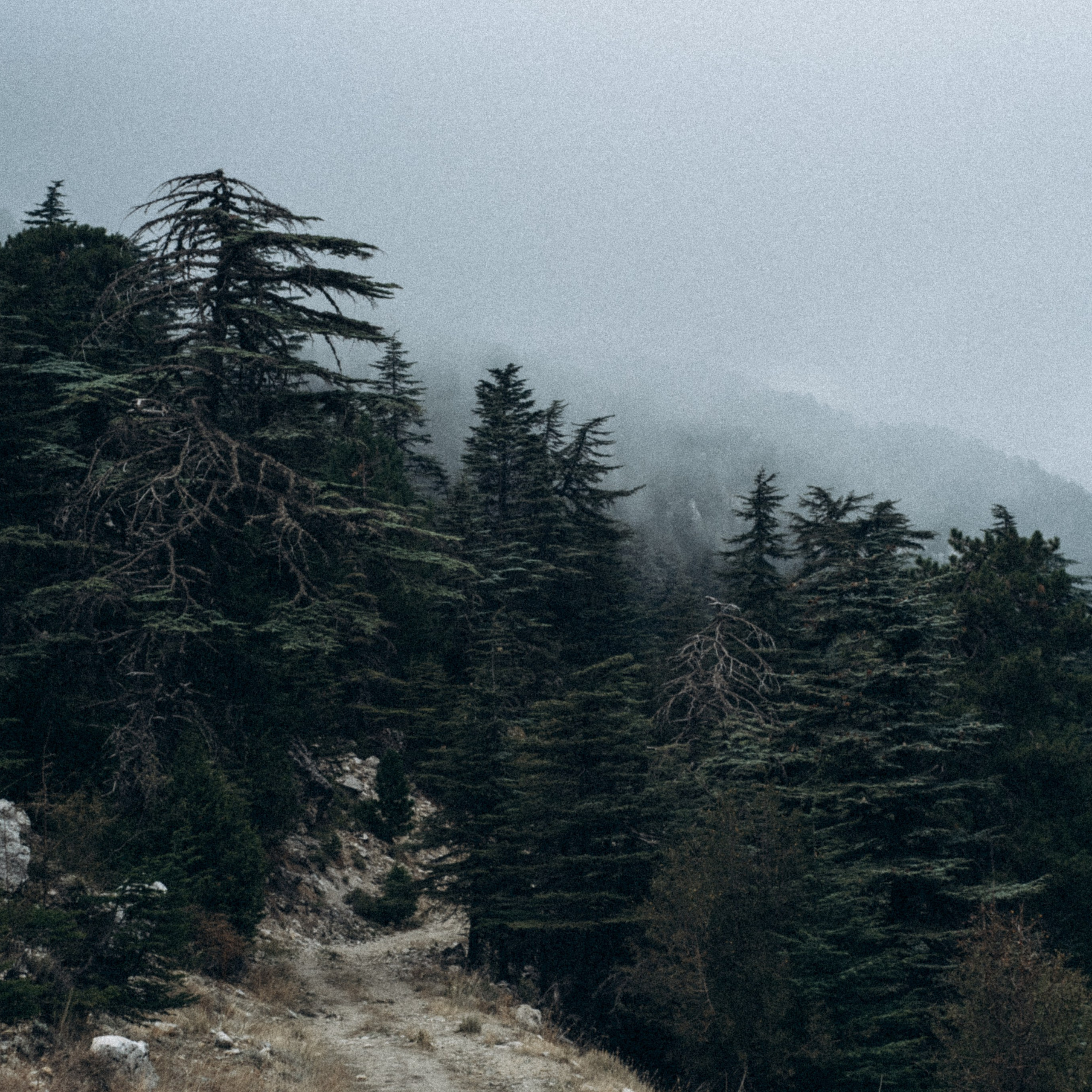 Ликийская Тропа 🇹🇷 Восточная Часть. Anita_photo