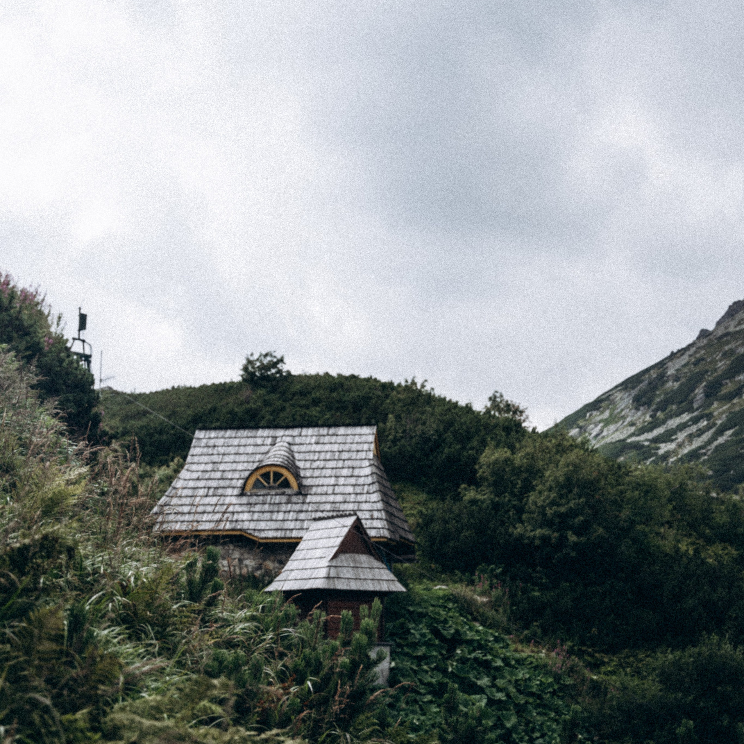 Закопаны. Anita_photo