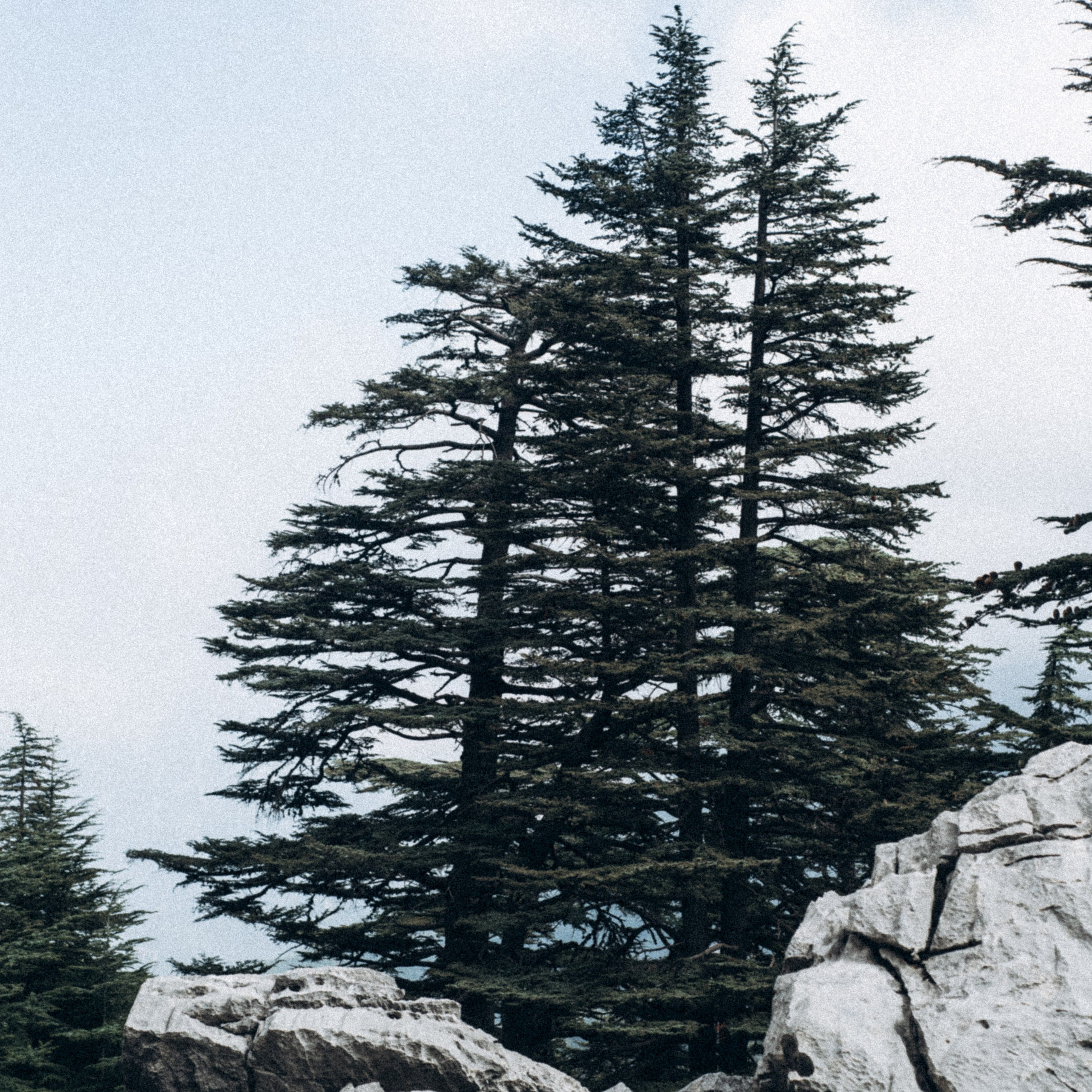 Ликийская Тропа 🇹🇷 Восточная Часть. Anita_photo