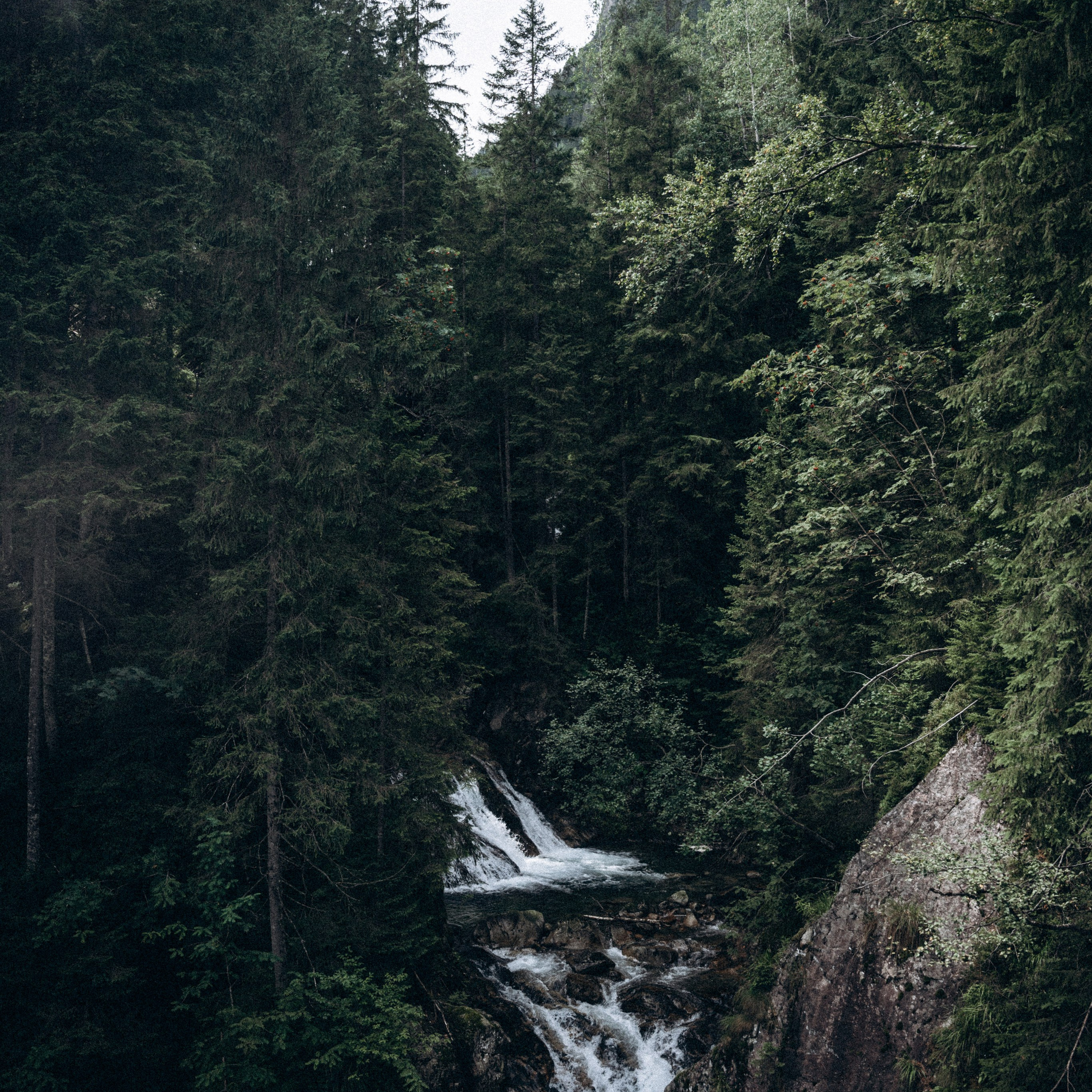 Закопаны. Anita_photo