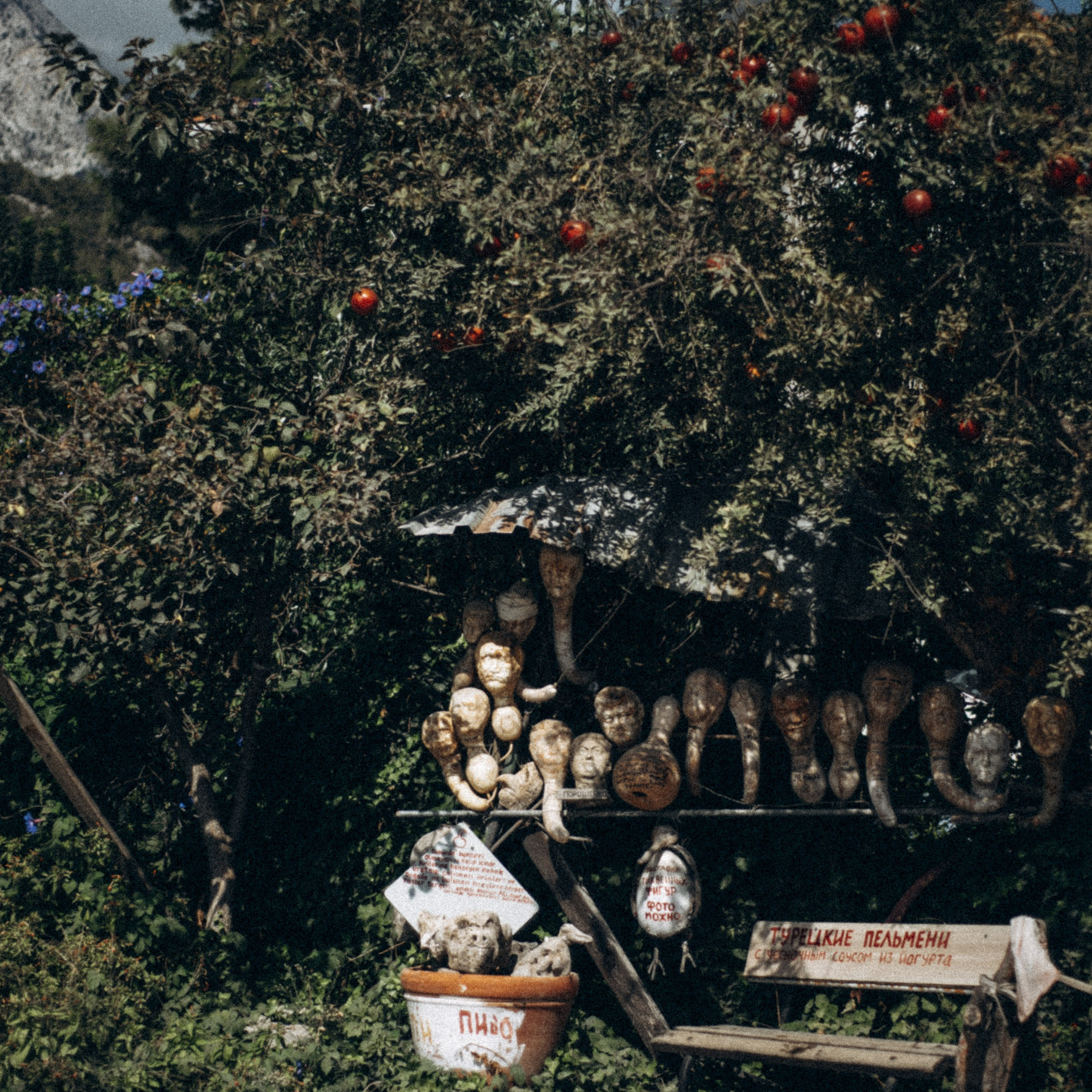 Ликийская Тропа 🇹🇷 Восточная Часть. Anita_photo