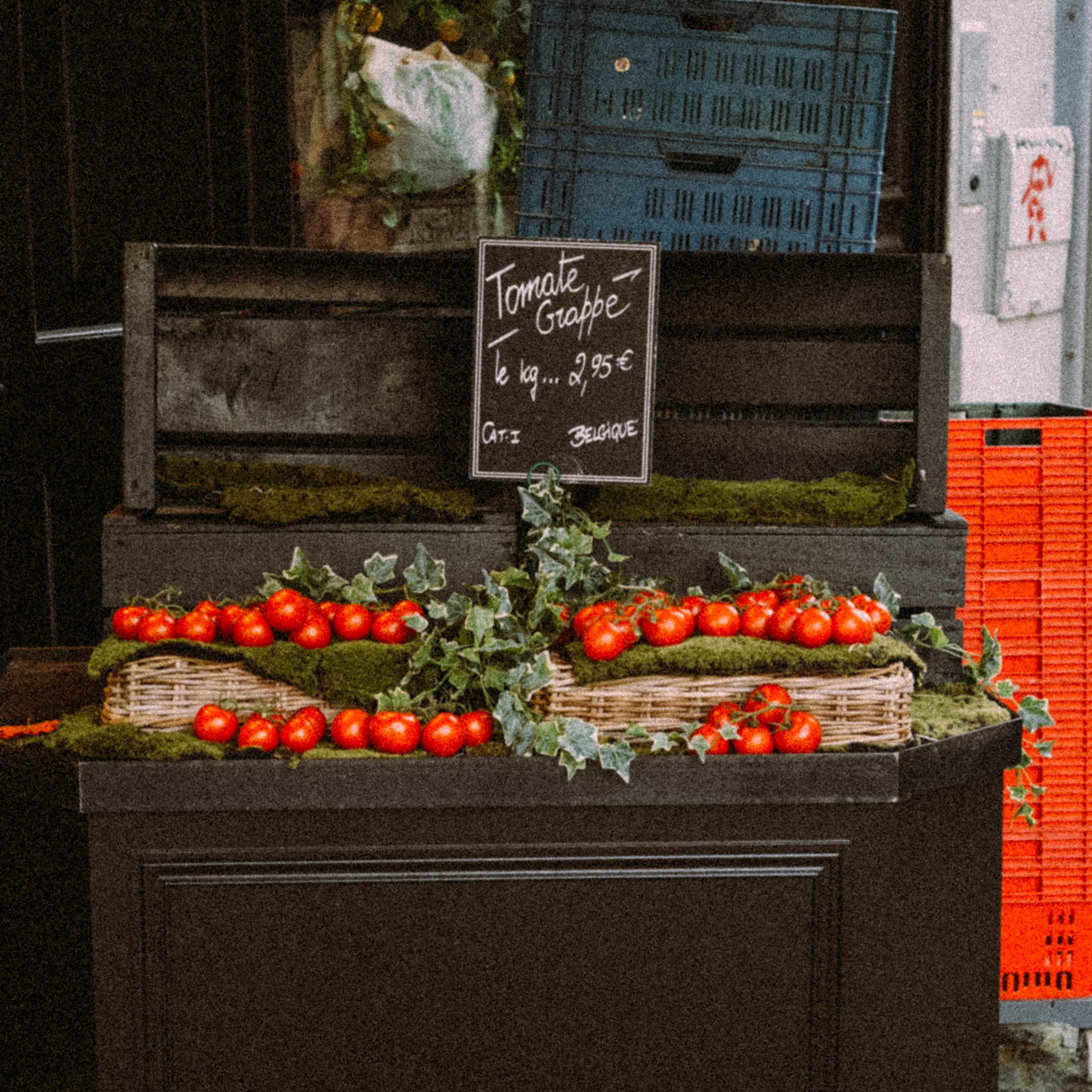 Нормандия, Франция 2025. Anita_photo