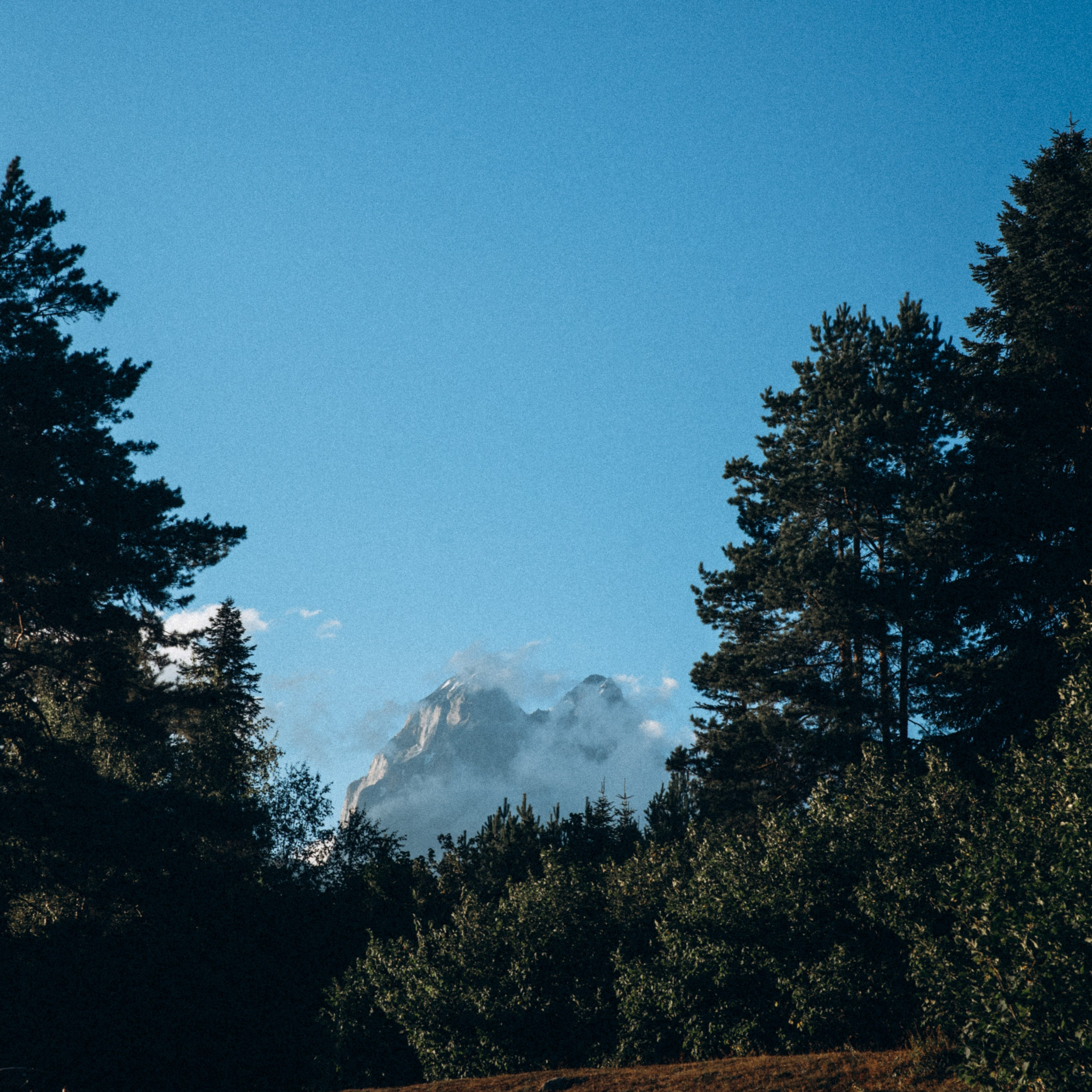 Сванетия, Грузия 🇬🇪. Anita_photo