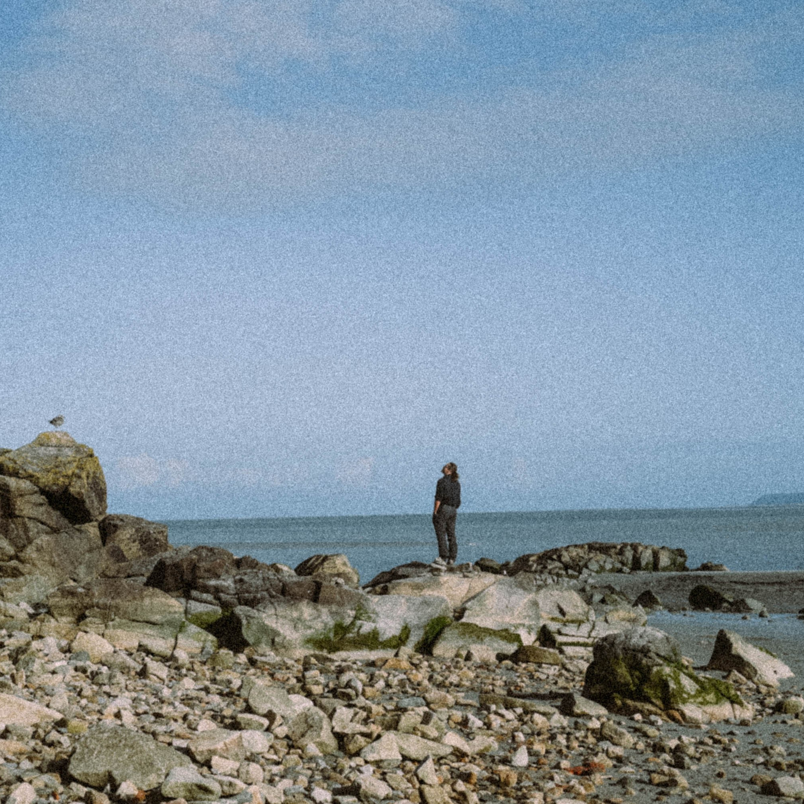 Нормандия, Франция 2025. Anita_photo