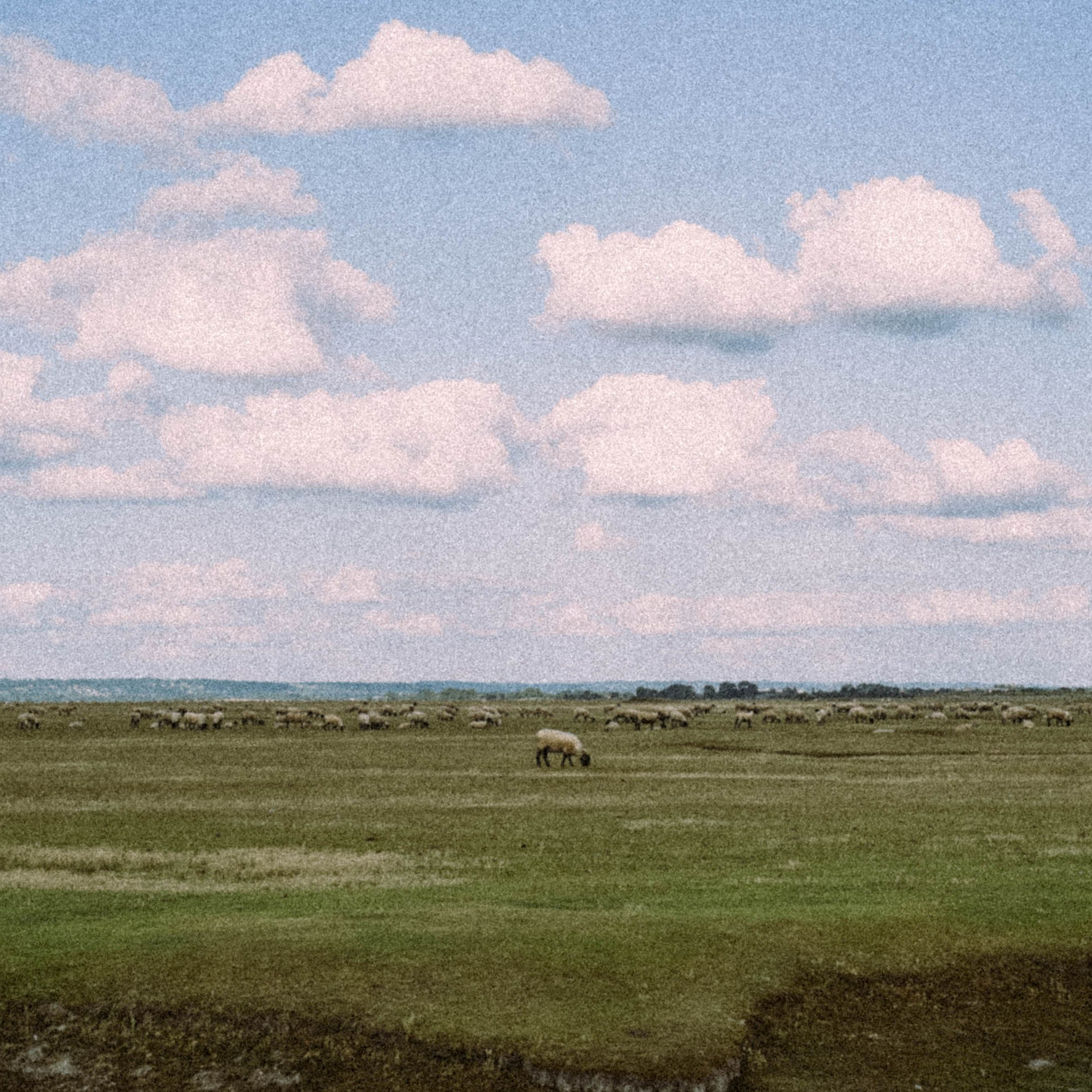 Нормандия, Франция 2025. Anita_photo