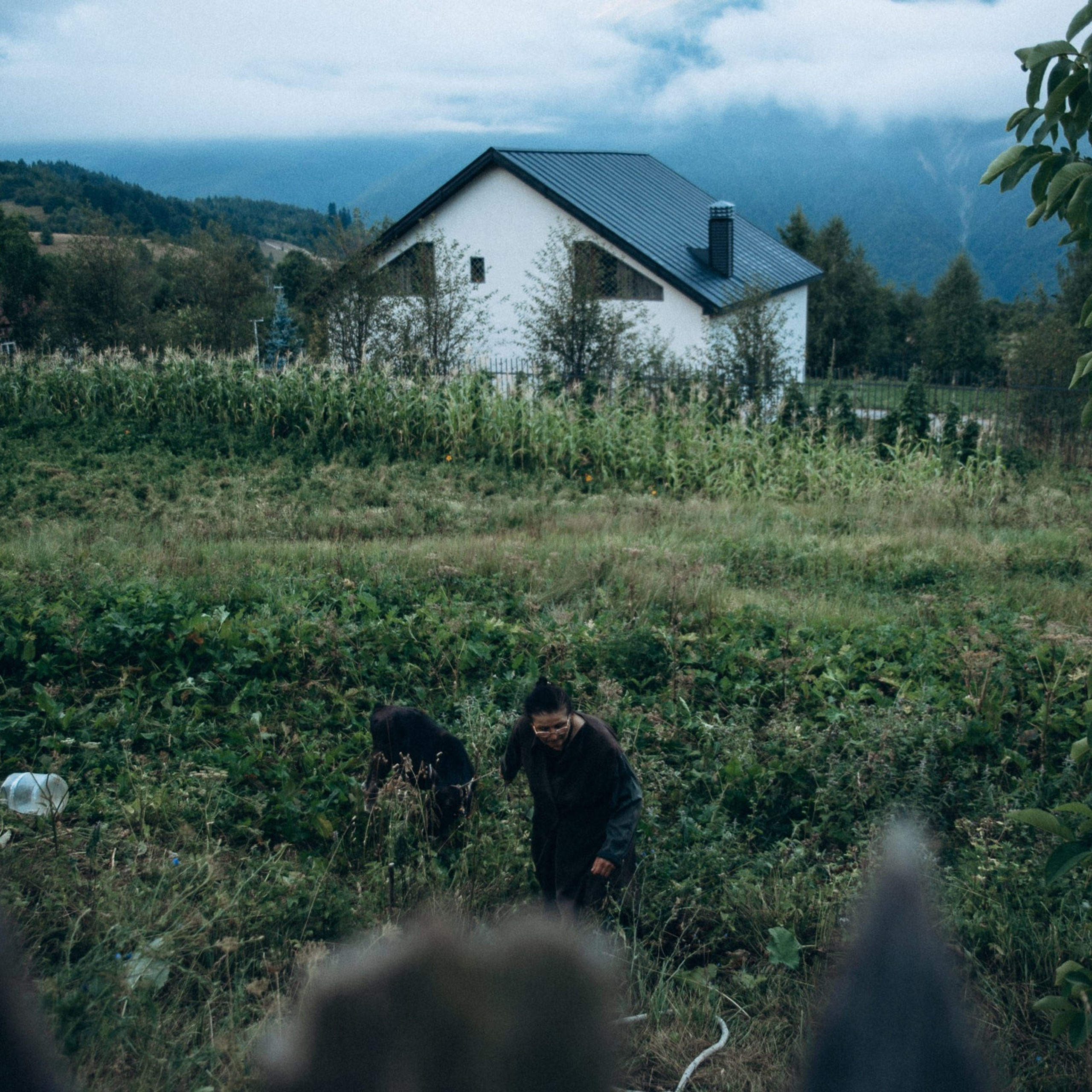 Сванетия, Грузия 🇬🇪. Anita_photo