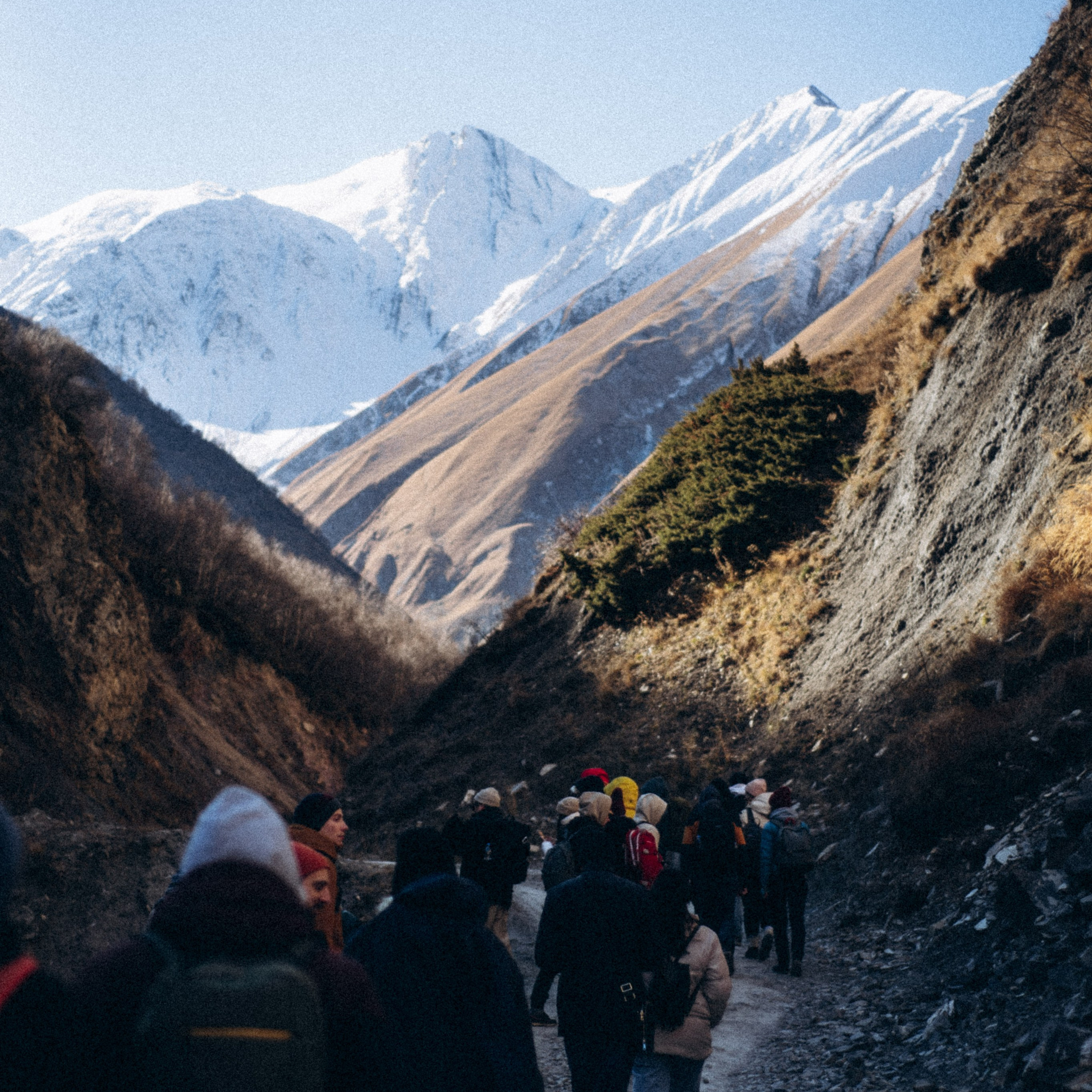 Долина Труссо, Грузия 🇬🇪 «PVD Club»