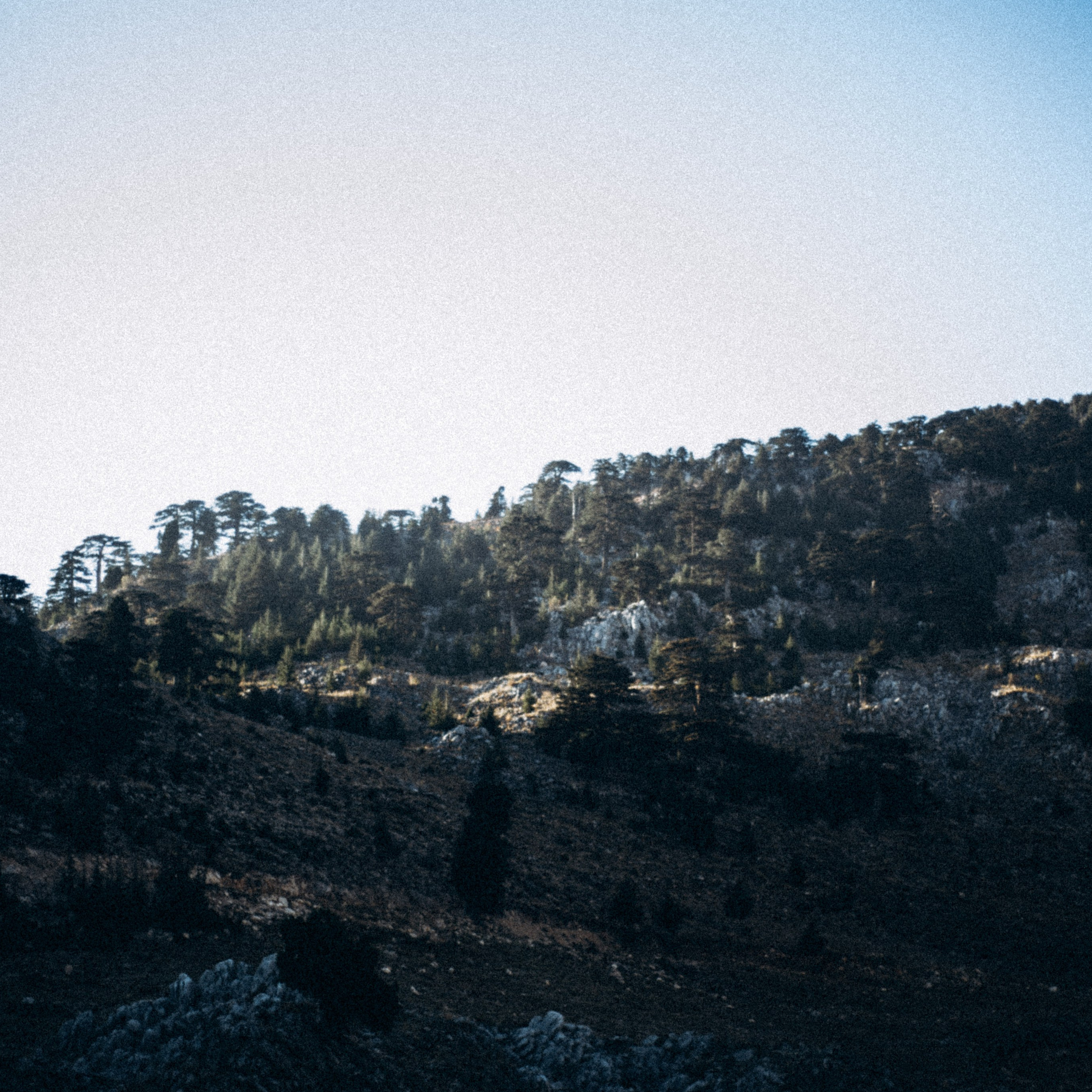 Ликийская Тропа 🇹🇷 Восточная Часть. Anita_photo
