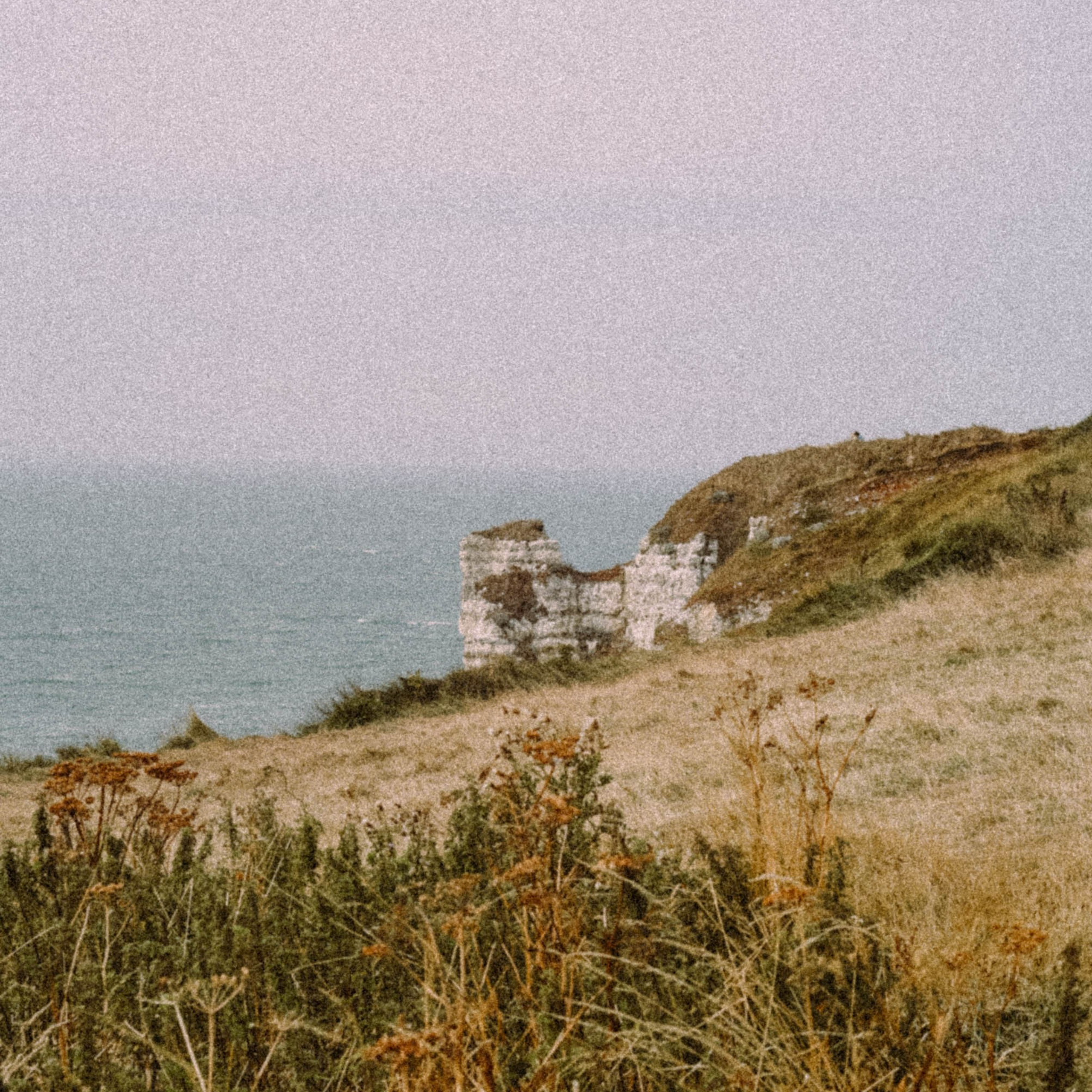 Нормандия, Франция 2025. Anita_photo