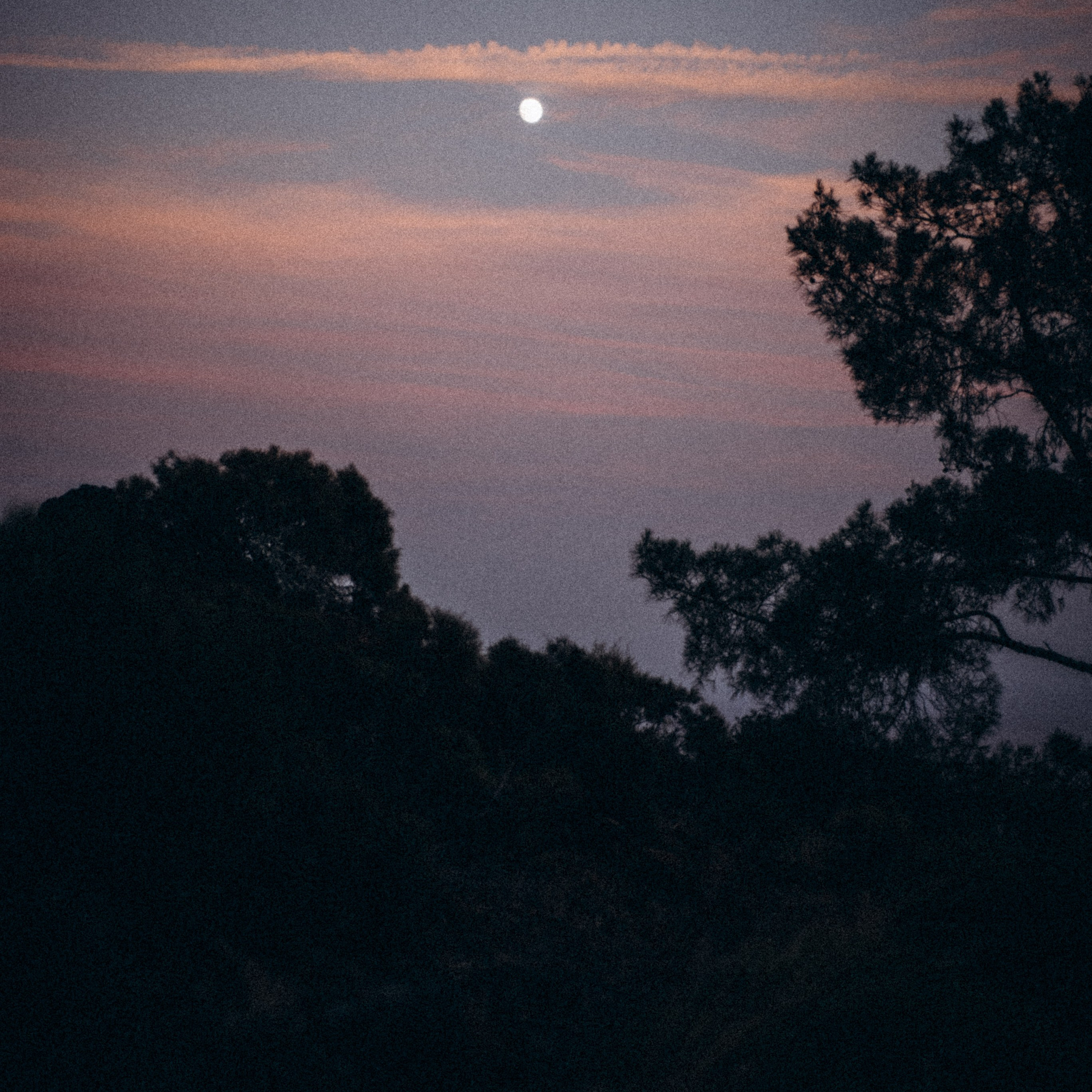 Ликийская Тропа 🇹🇷 Восточная Часть. Anita_photo