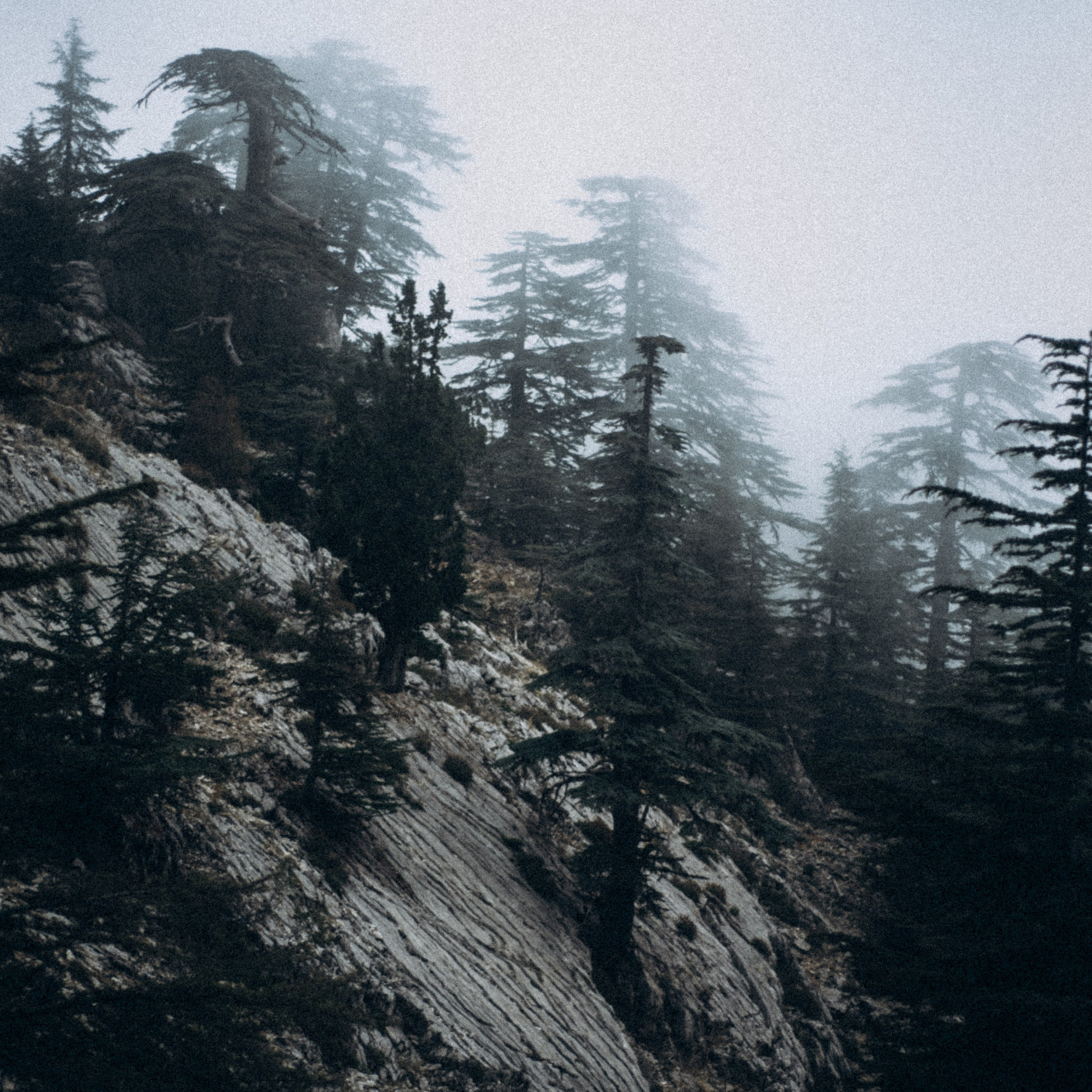 Ликийская Тропа 🇹🇷 Восточная Часть. Anita_photo