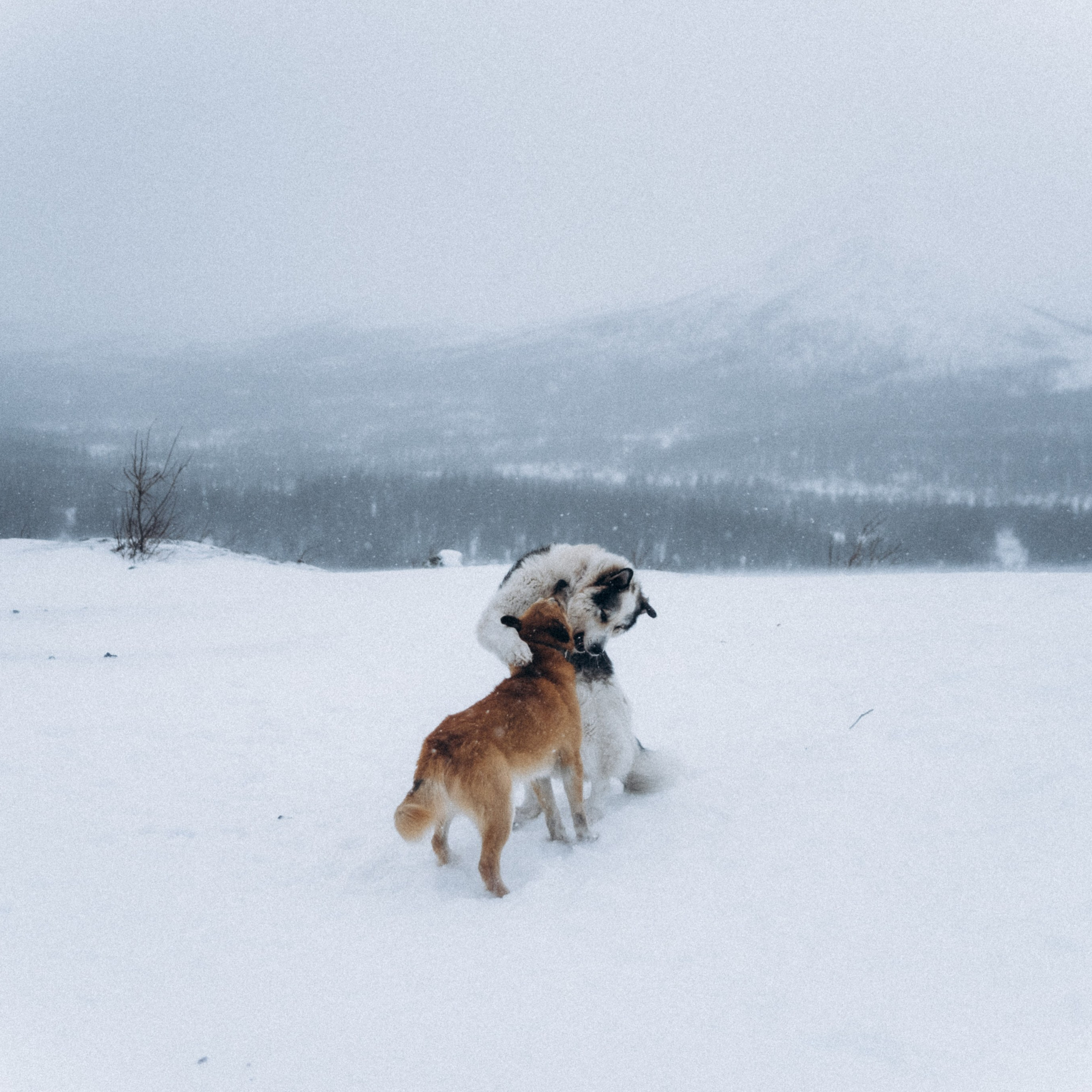 Мурманск. Anita_photo