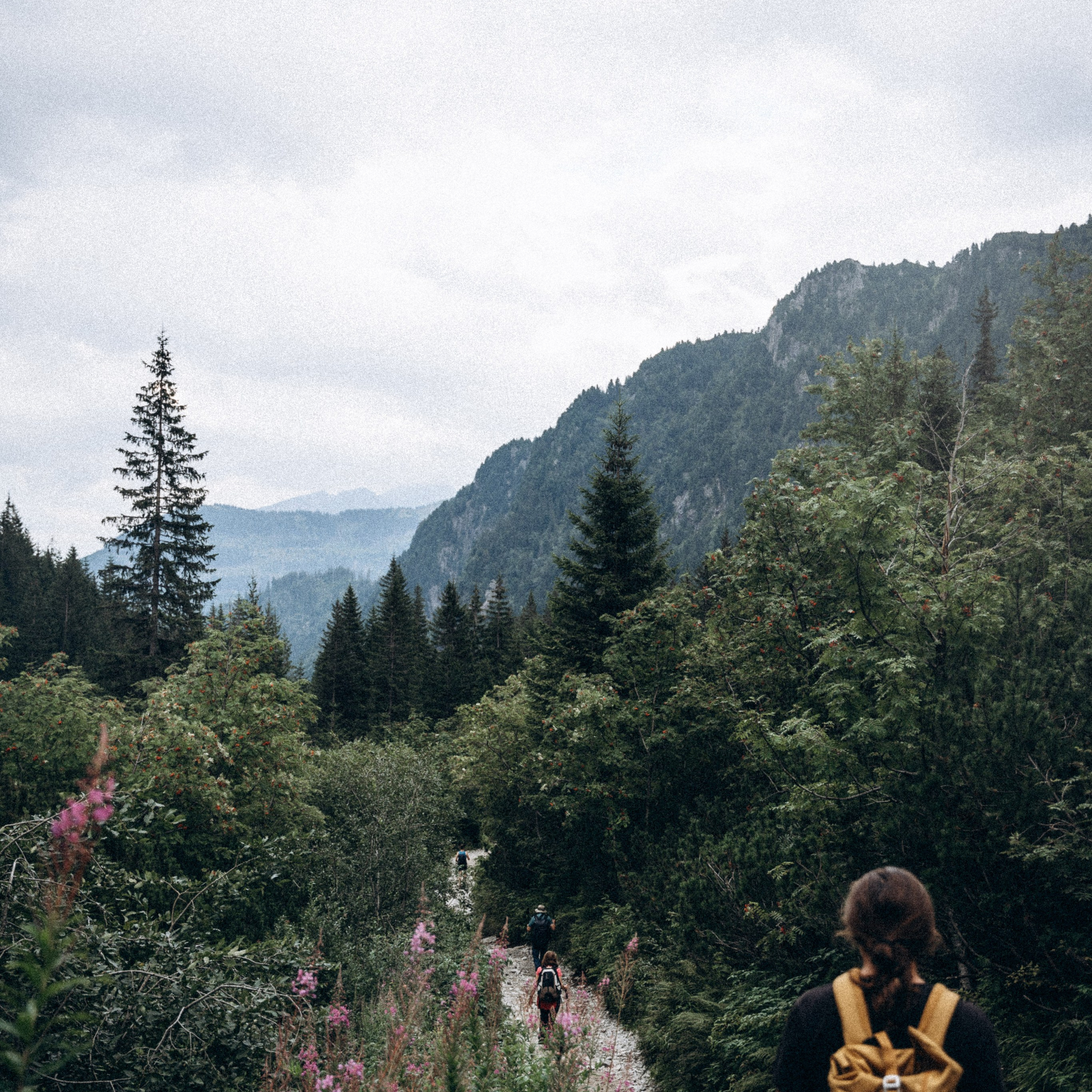 Закопаны. Anita_photo