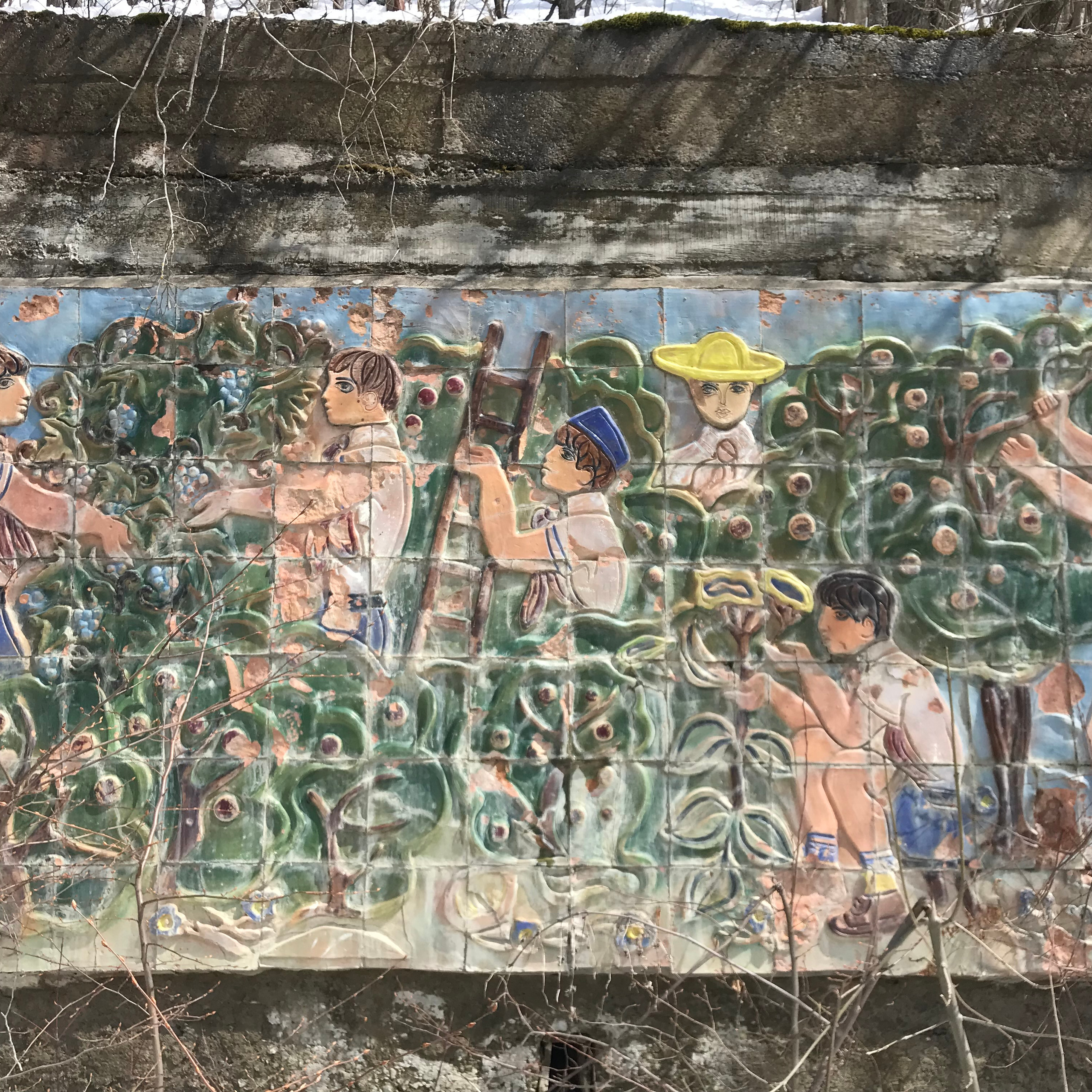 Медвежий приют, Грузия 🇬🇪. Anita_photo