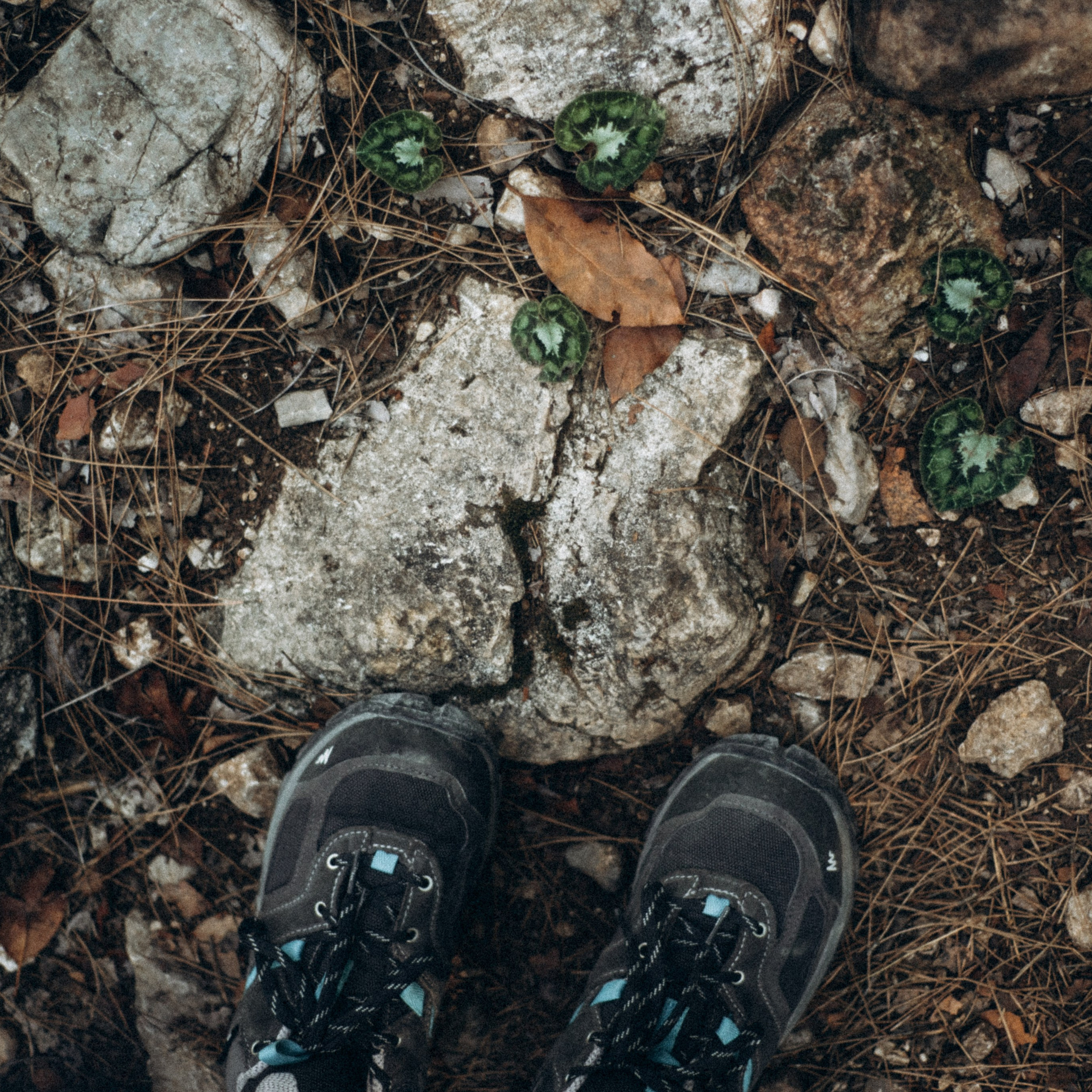 Ликийская Тропа 🇹🇷 Восточная Часть. Anita_photo