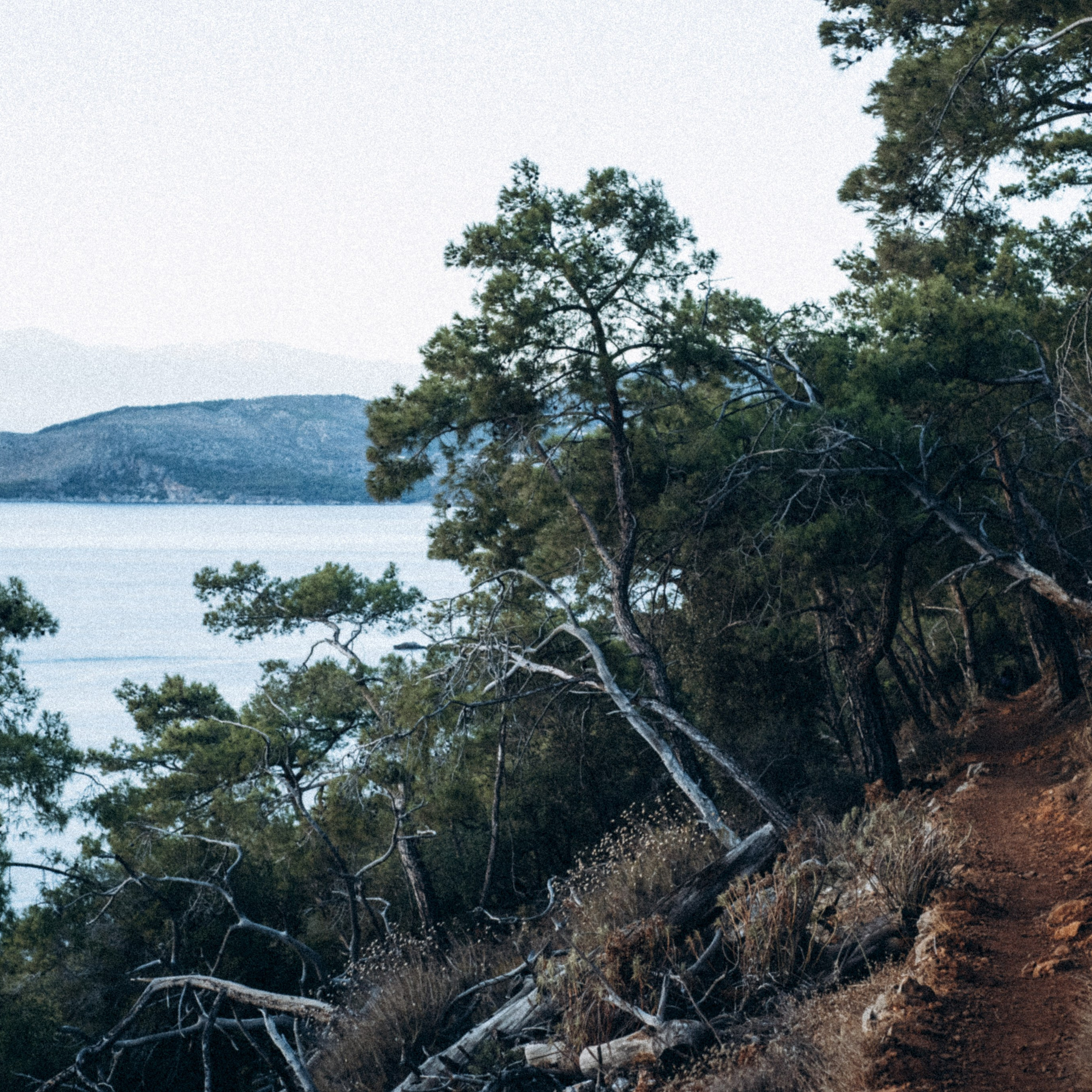 Ликийская Тропа 🇹🇷 Восточная Часть. Anita_photo