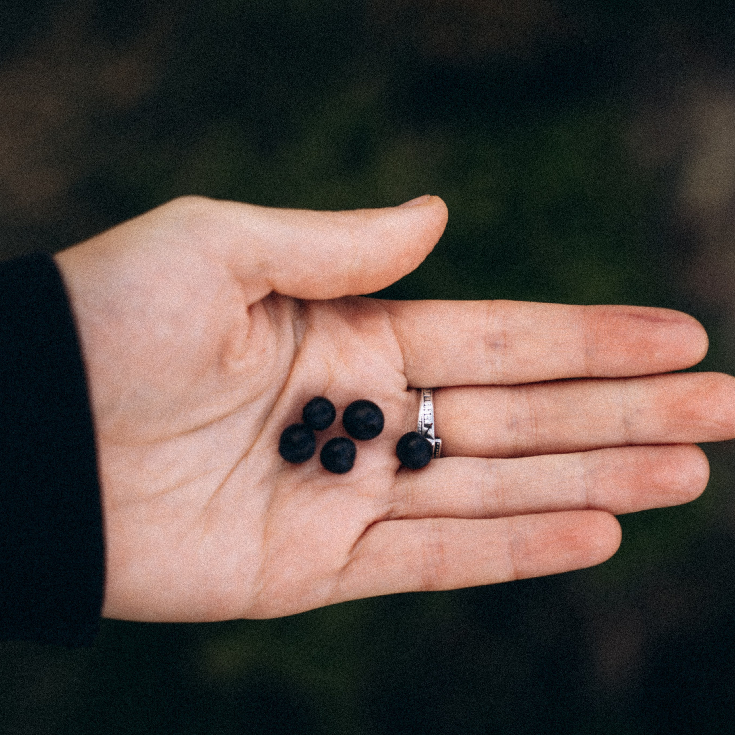 Закопаны. Anita_photo