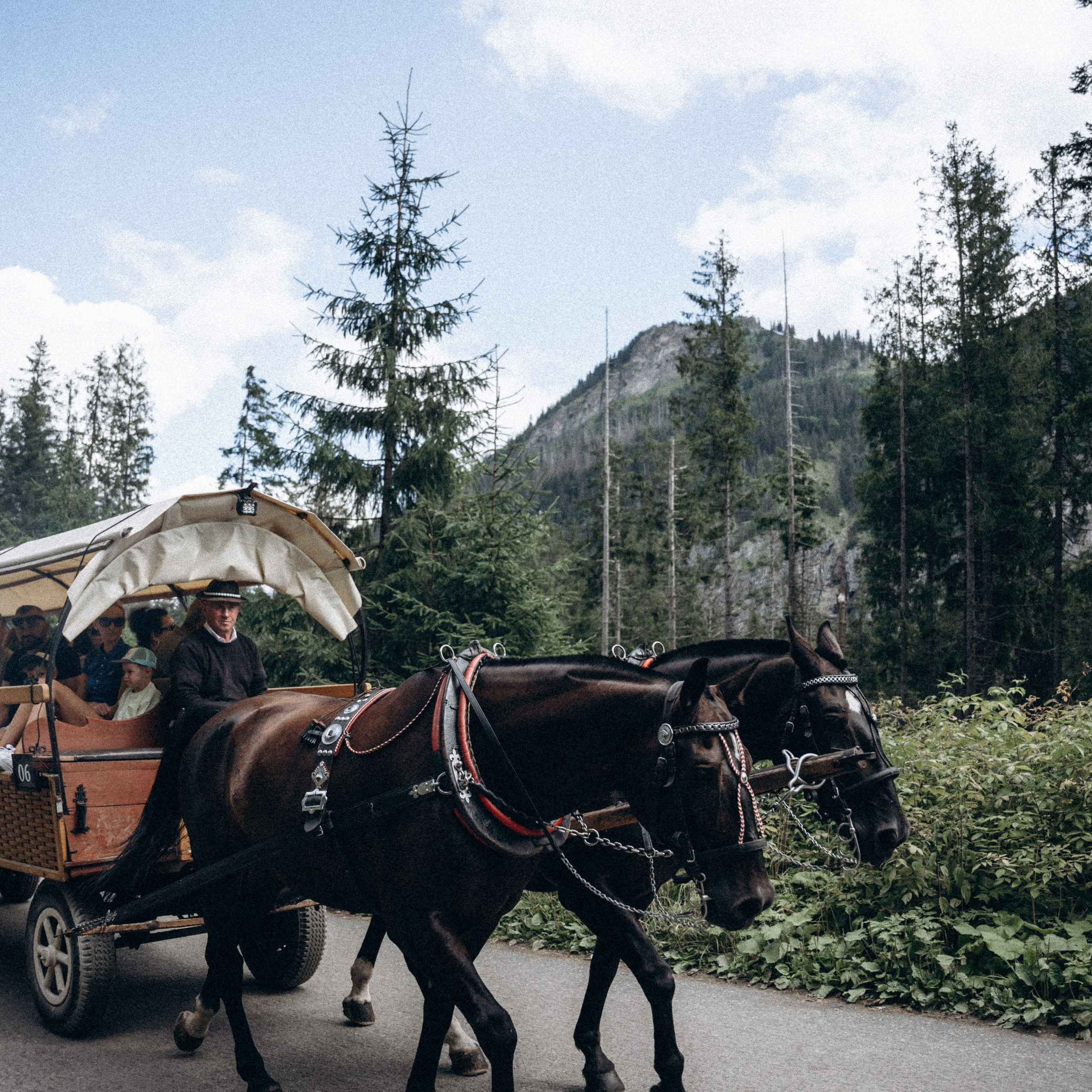 Закопаны. Anita_photo