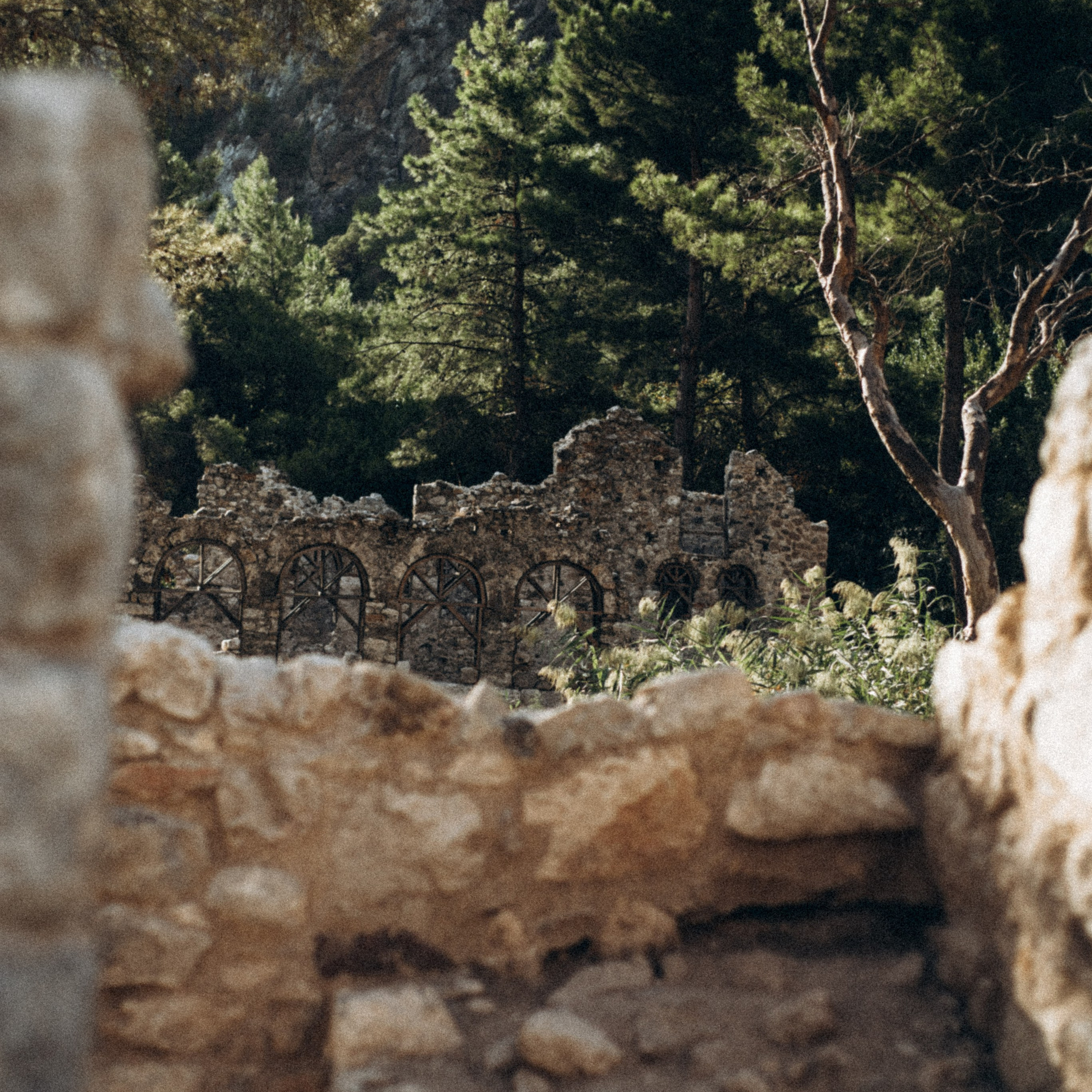 Ликийская Тропа 🇹🇷 Восточная Часть. Anita_photo