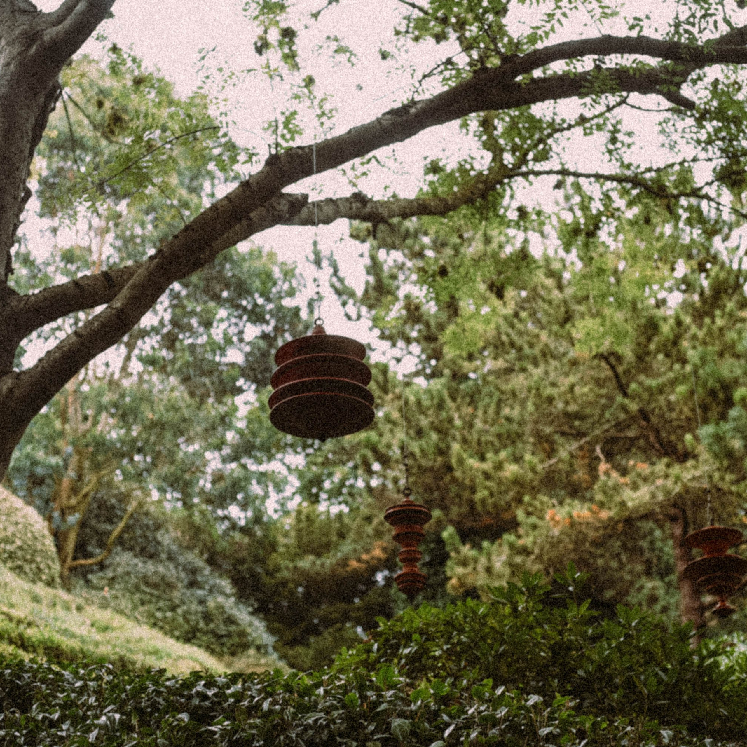 Нормандия, Франция 2025. Anita_photo