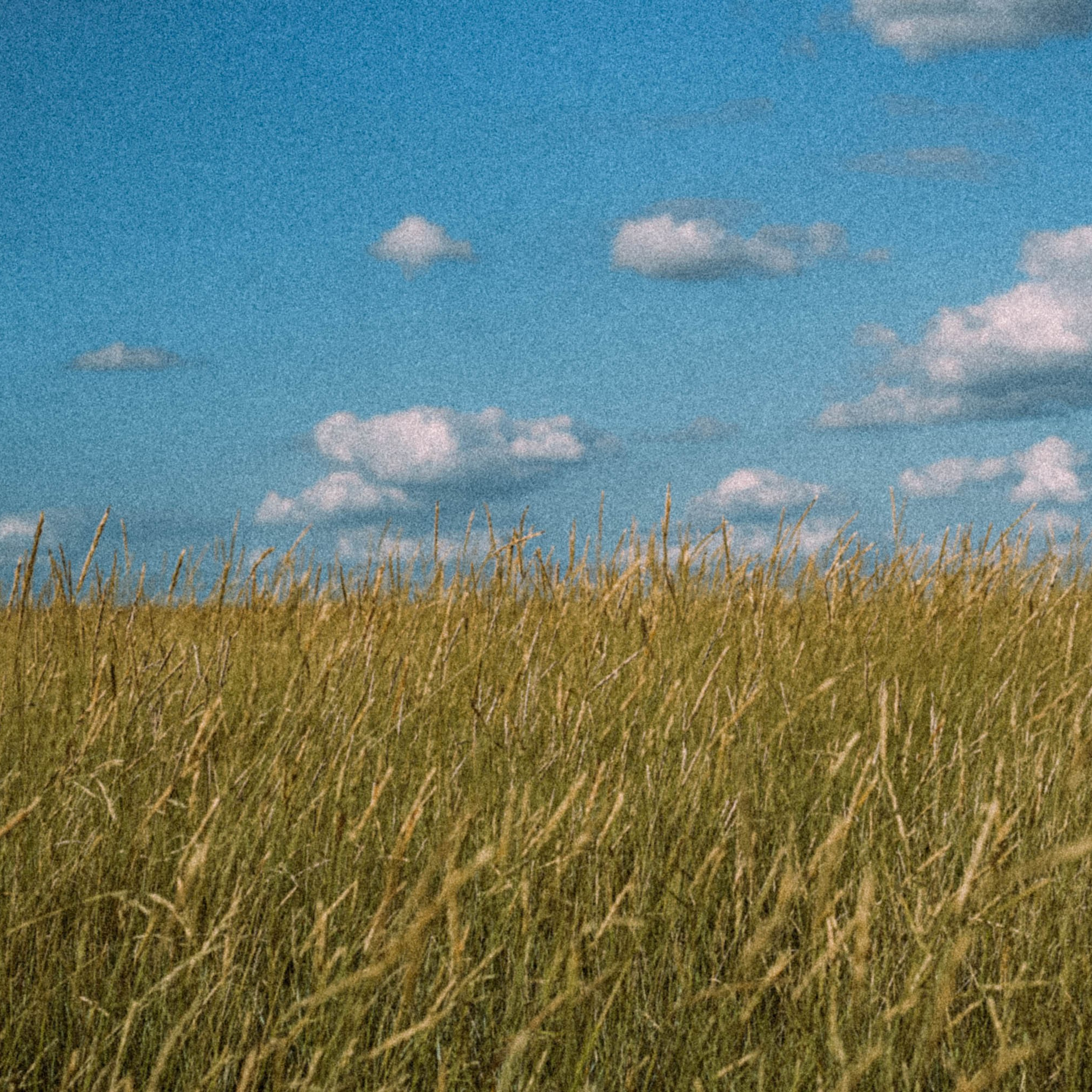 Нормандия, Франция 2025. Anita_photo