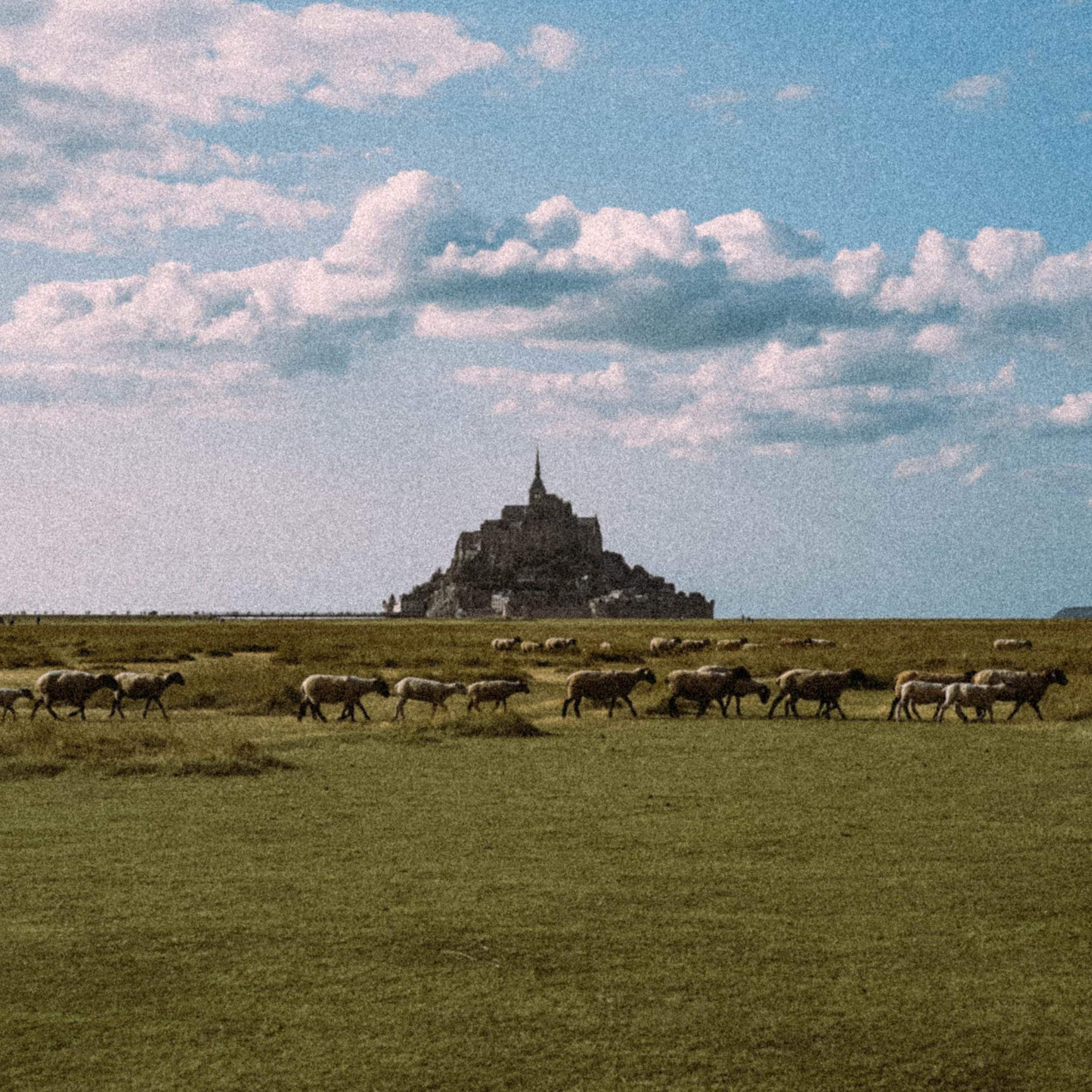 Нормандия, Франция 2025. Anita_photo