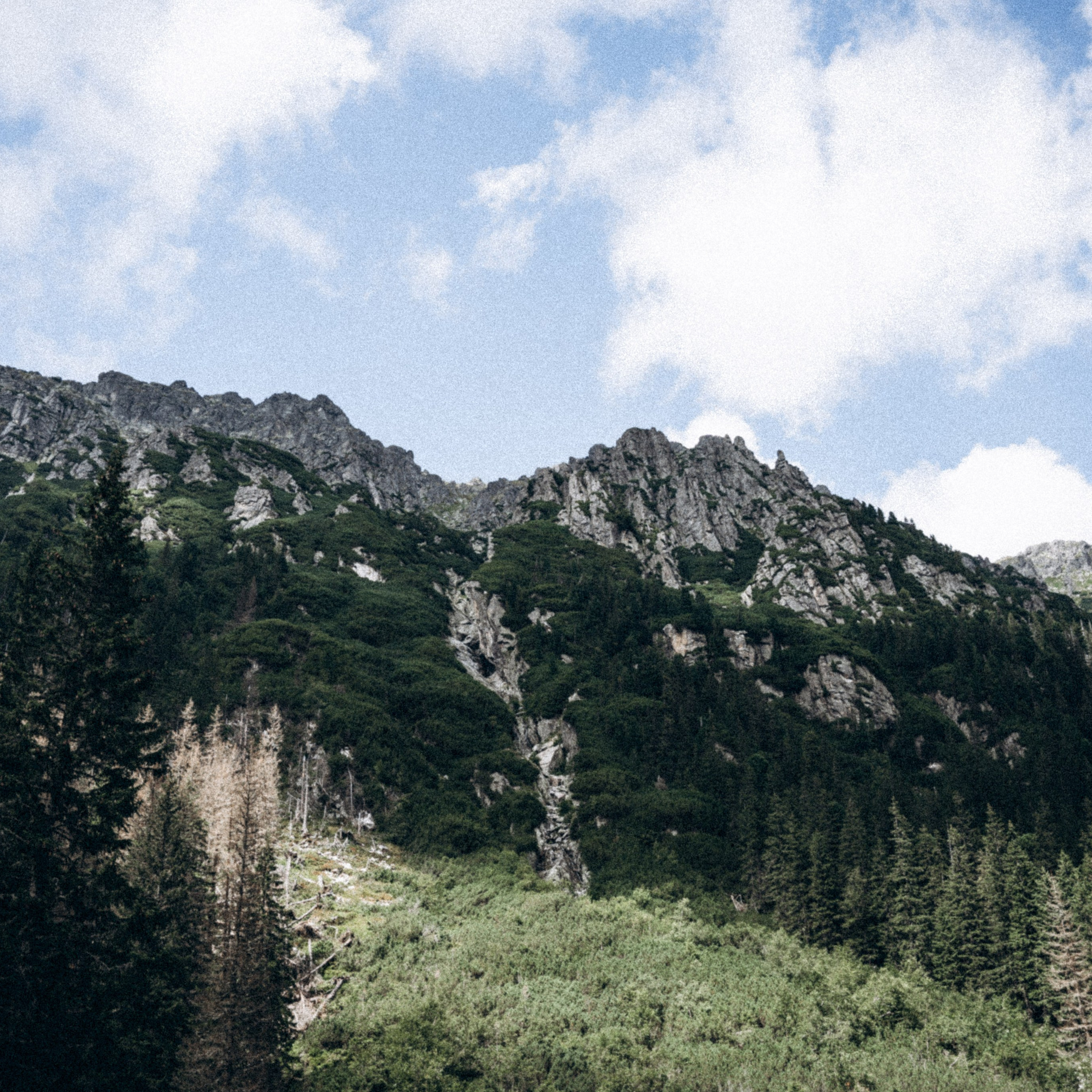 Закопаны. Anita_photo