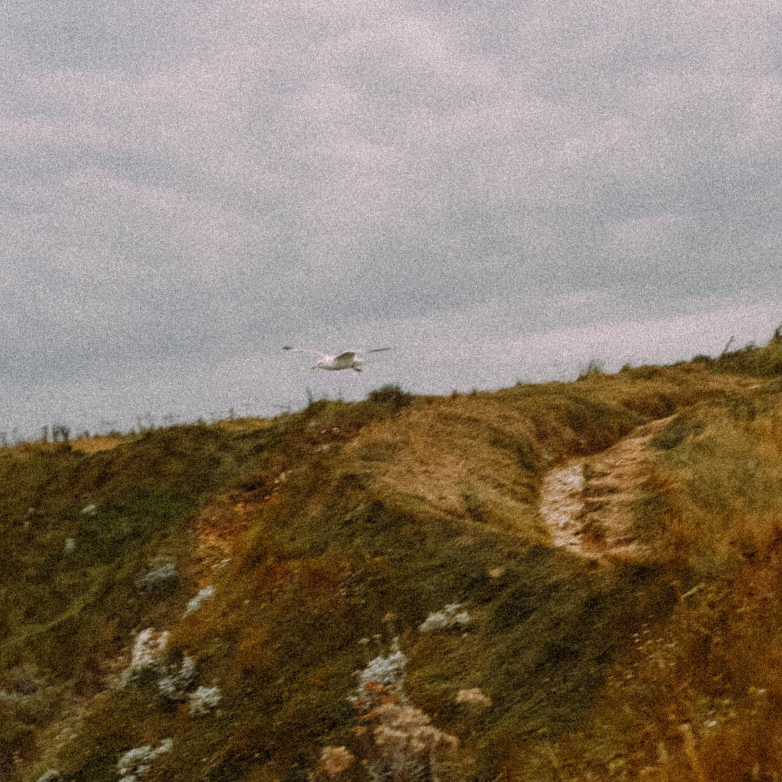 Нормандия, Франция 2025. Anita_photo