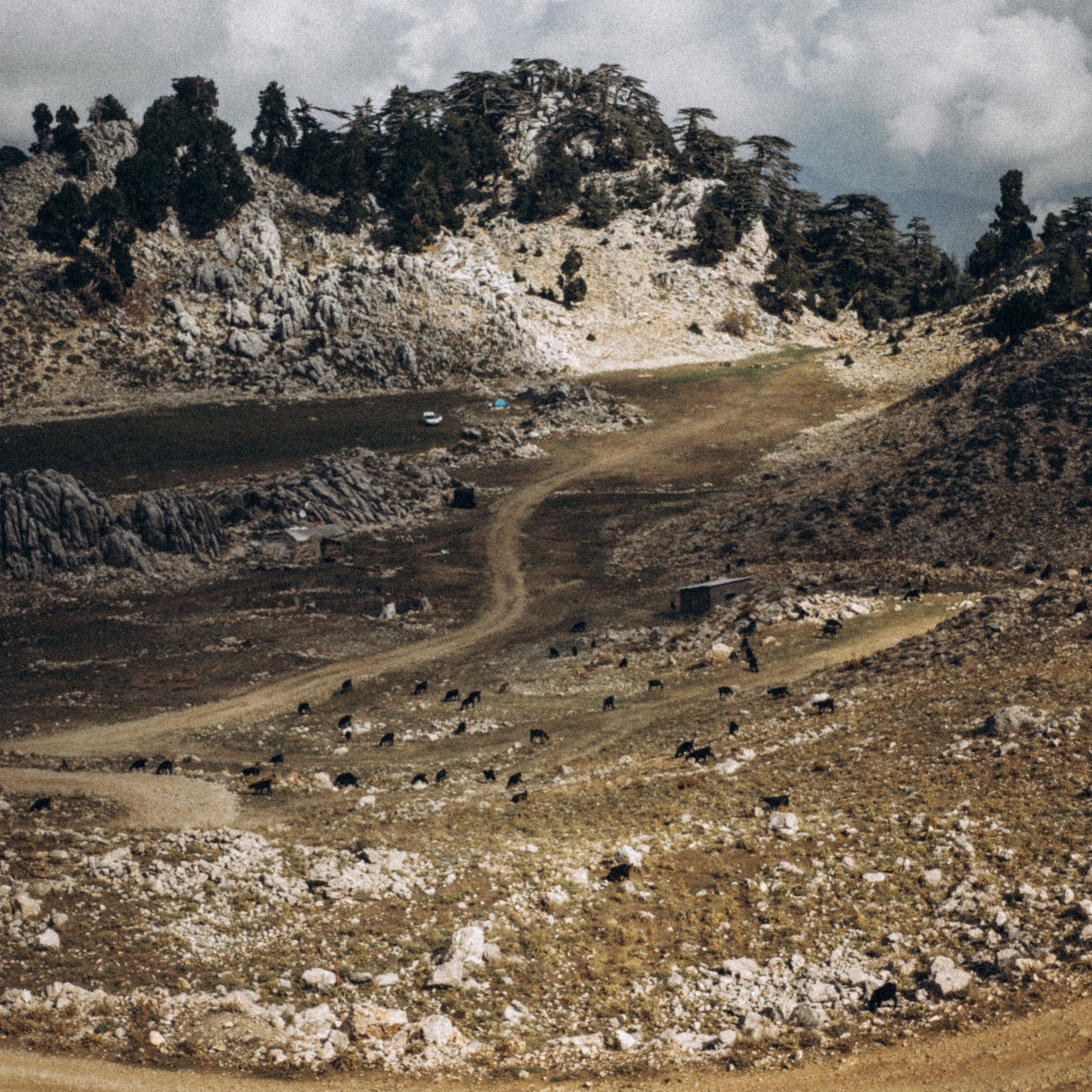 Ликийская Тропа 🇹🇷 Восточная Часть. Anita_photo