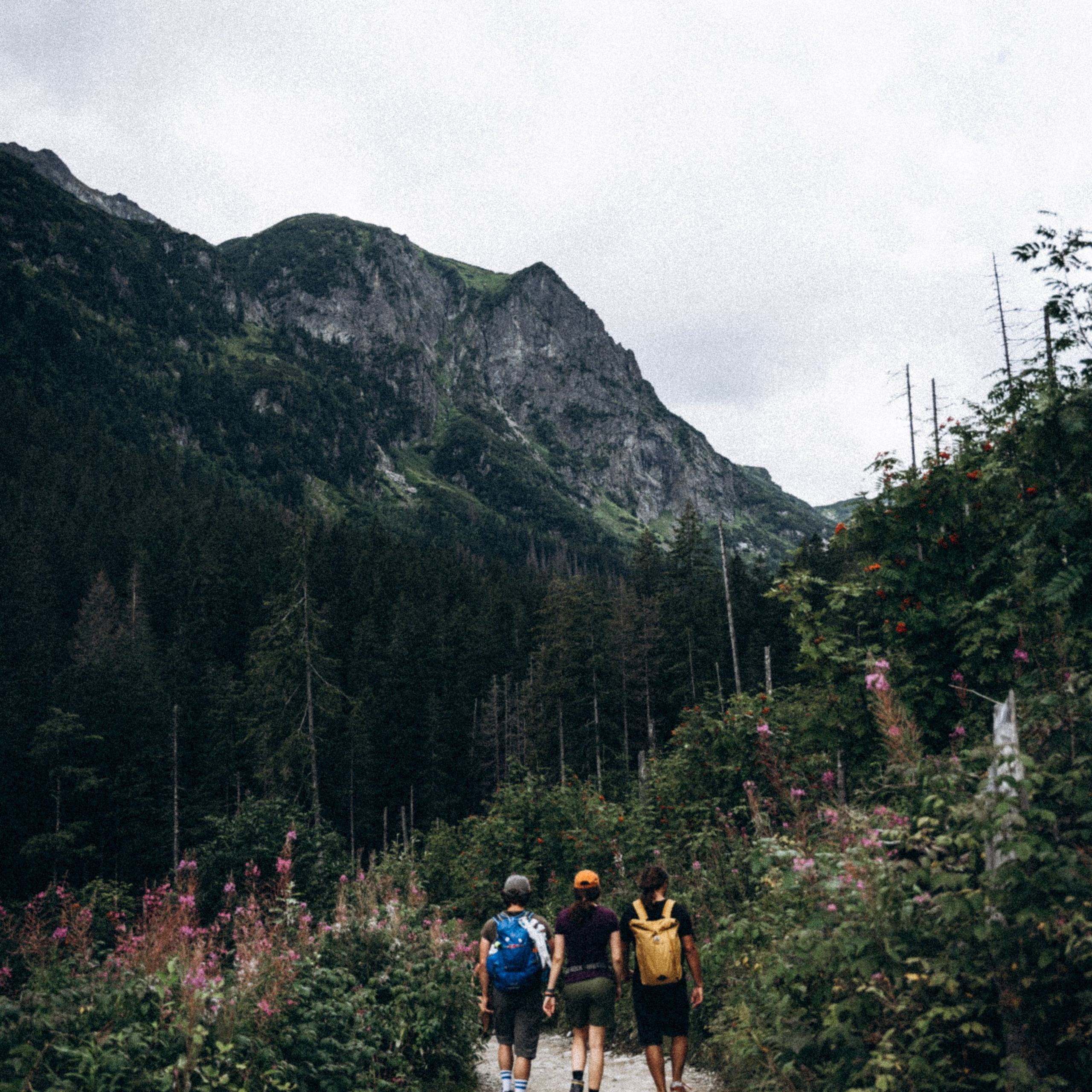 Закопаны. Anita_photo