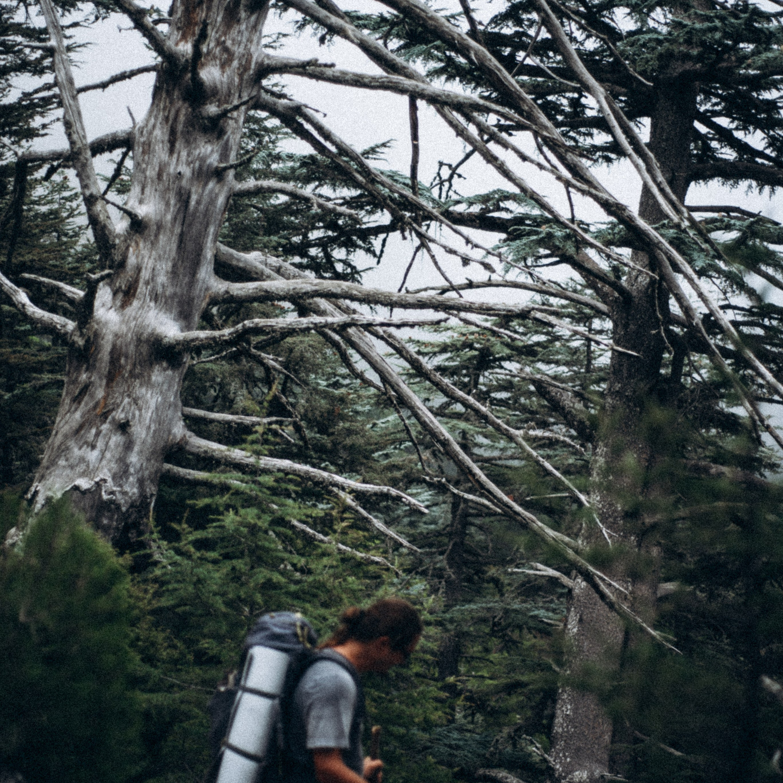 Ликийская Тропа 🇹🇷 Восточная Часть. Anita_photo