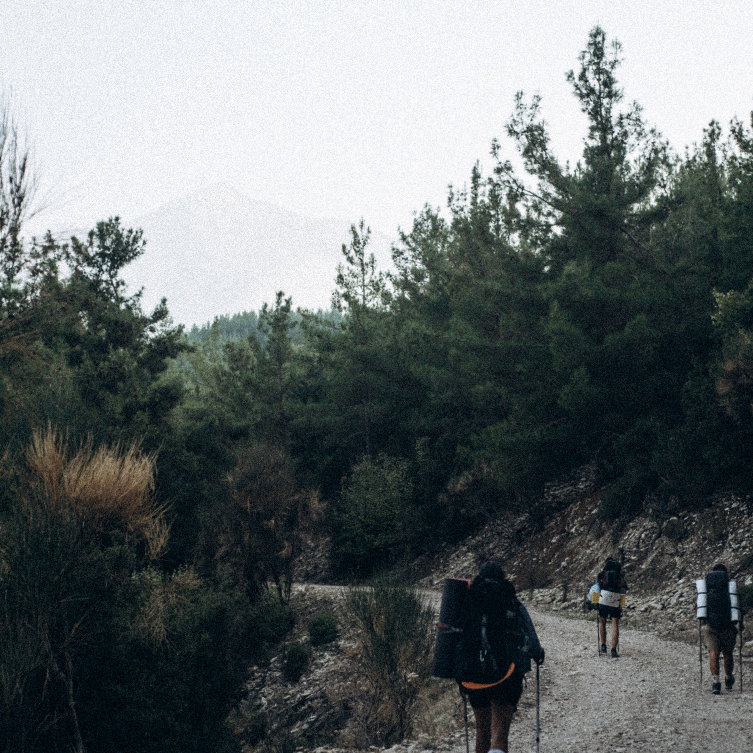 Ликийская Тропа 🇹🇷 Восточная Часть. Anita_photo