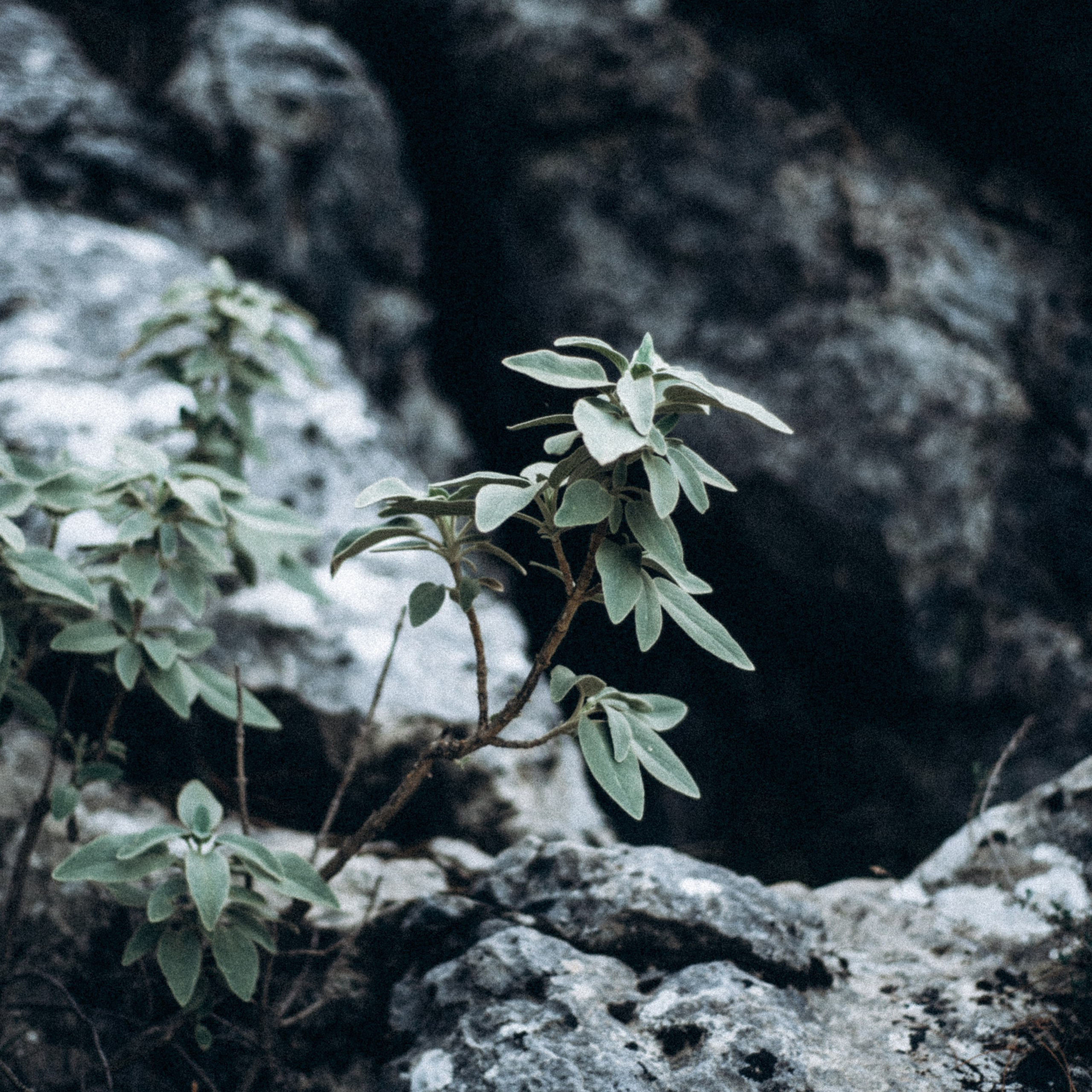 Ликийская Тропа 🇹🇷 Восточная Часть. Anita_photo