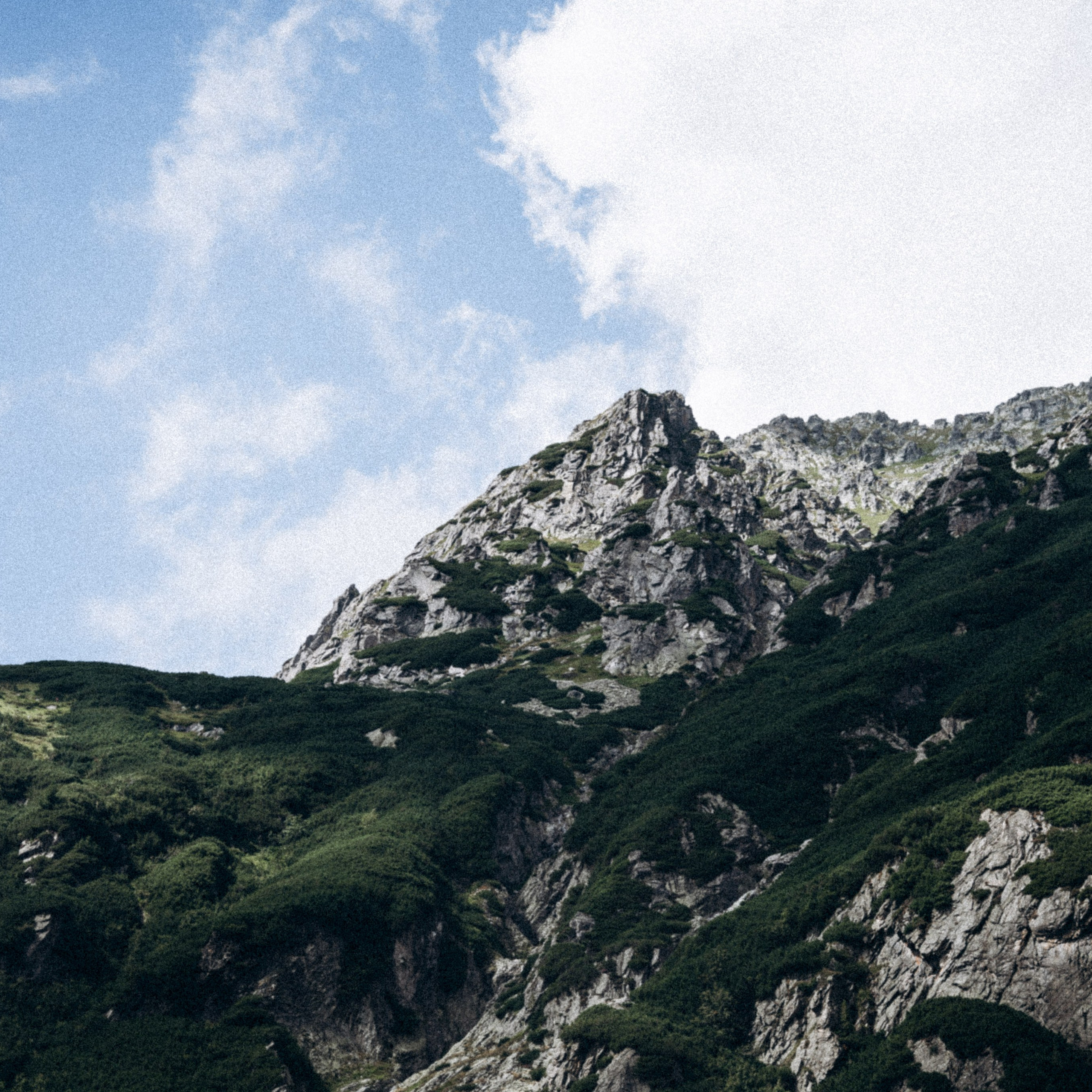 Закопаны. Anita_photo