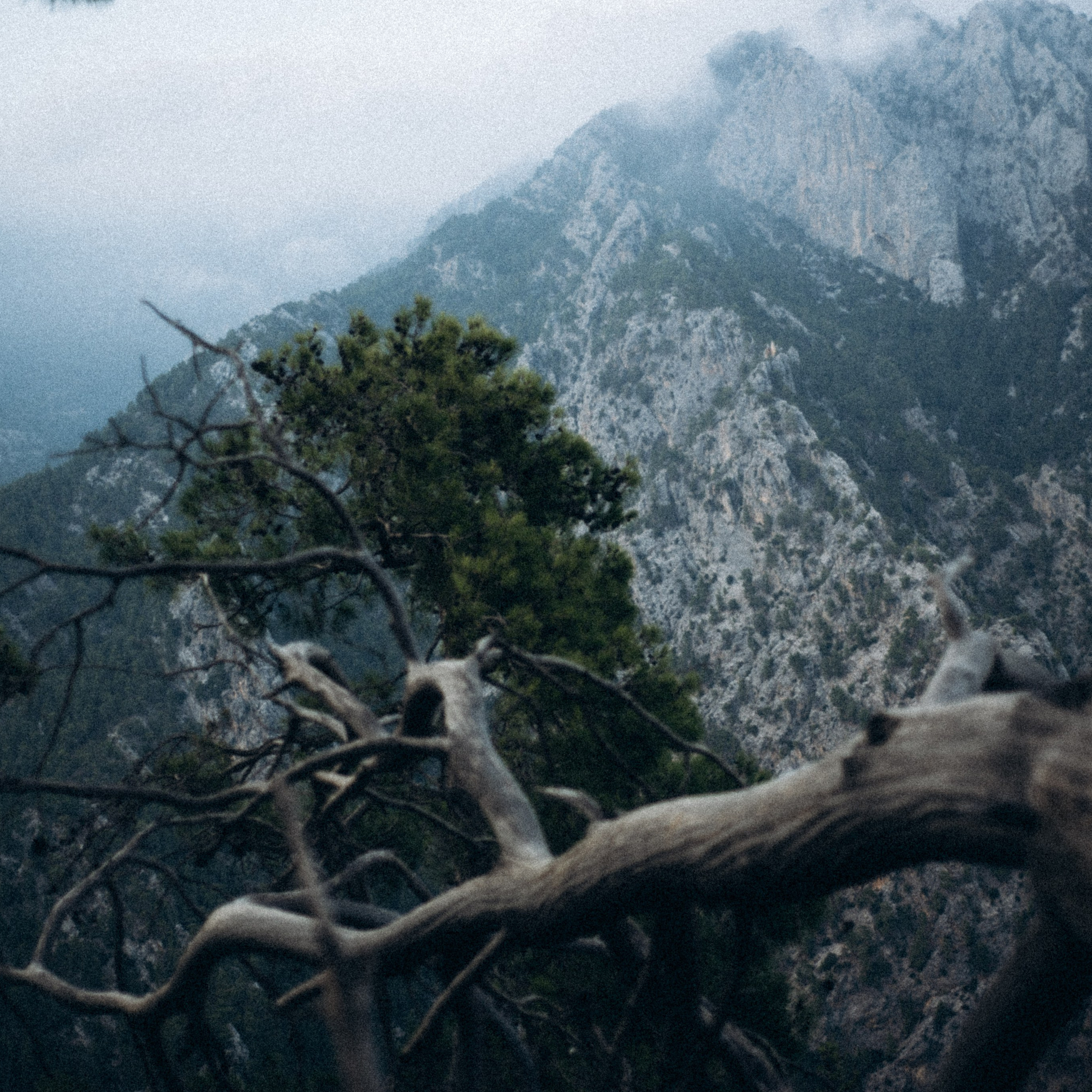 Ликийская Тропа 🇹🇷 Восточная Часть. Anita_photo