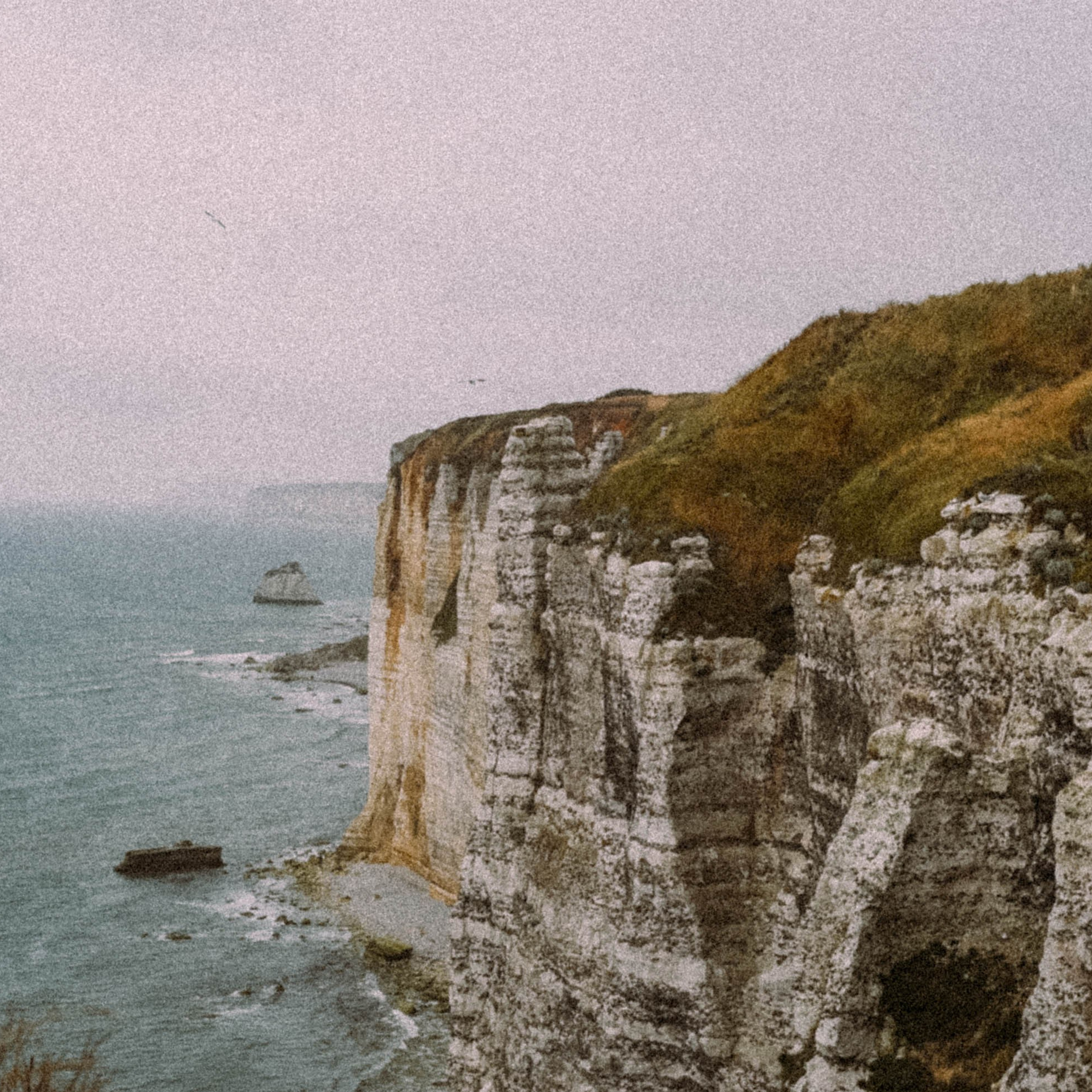 Нормандия, Франция 2025. Anita_photo