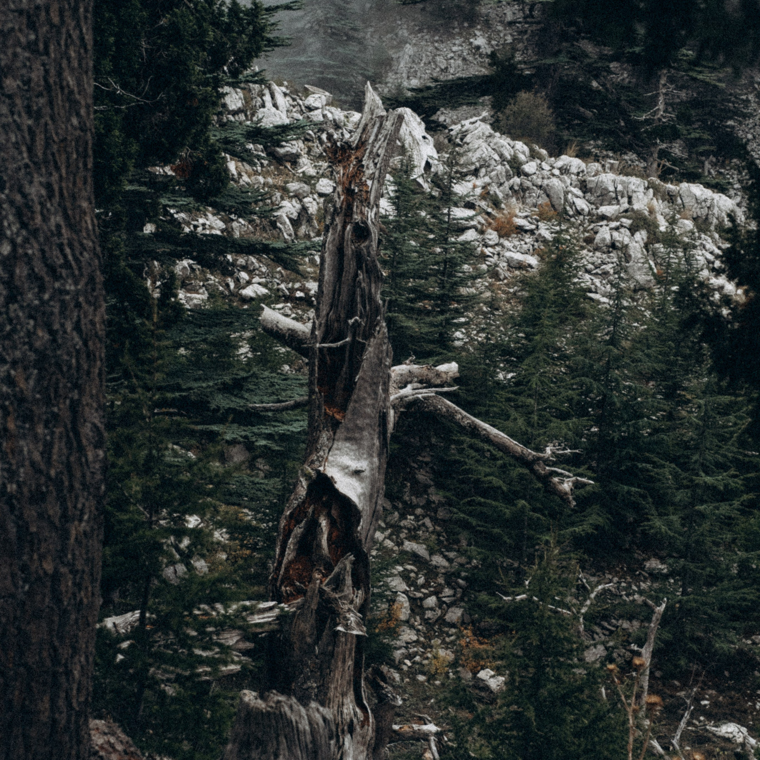 Ликийская Тропа 🇹🇷 Восточная Часть. Anita_photo