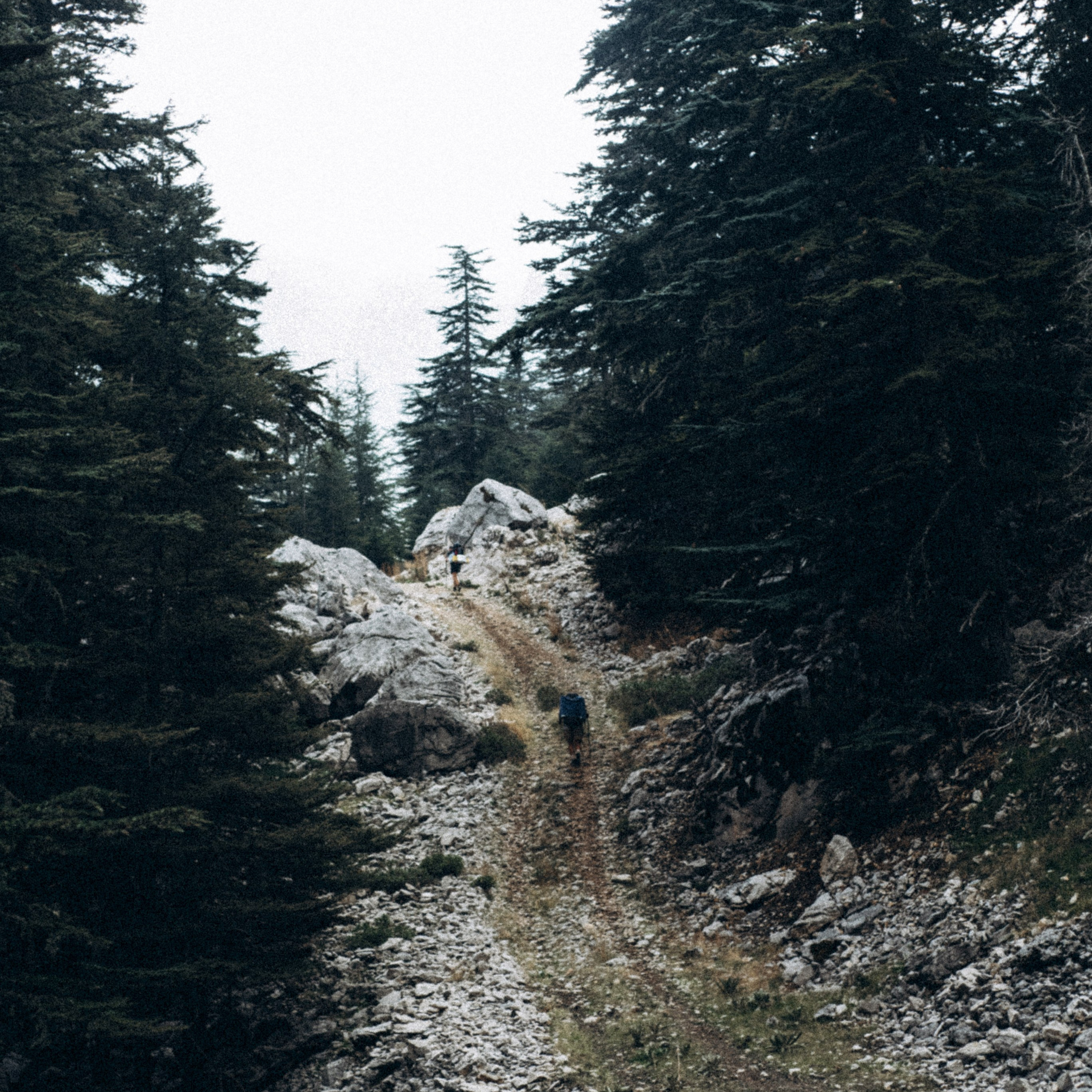 Ликийская Тропа 🇹🇷 Восточная Часть. Anita_photo