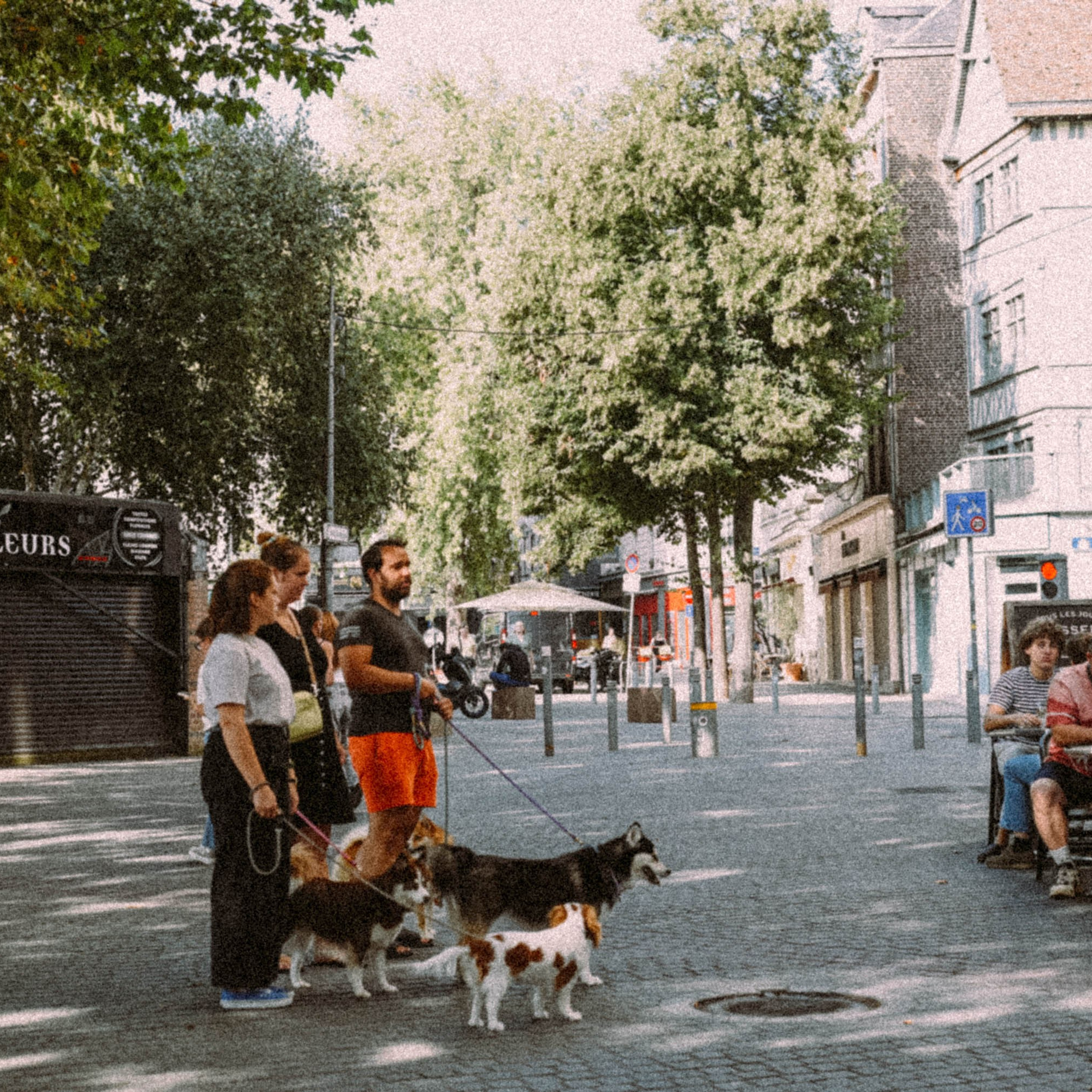 Нормандия, Франция 2025. Anita_photo