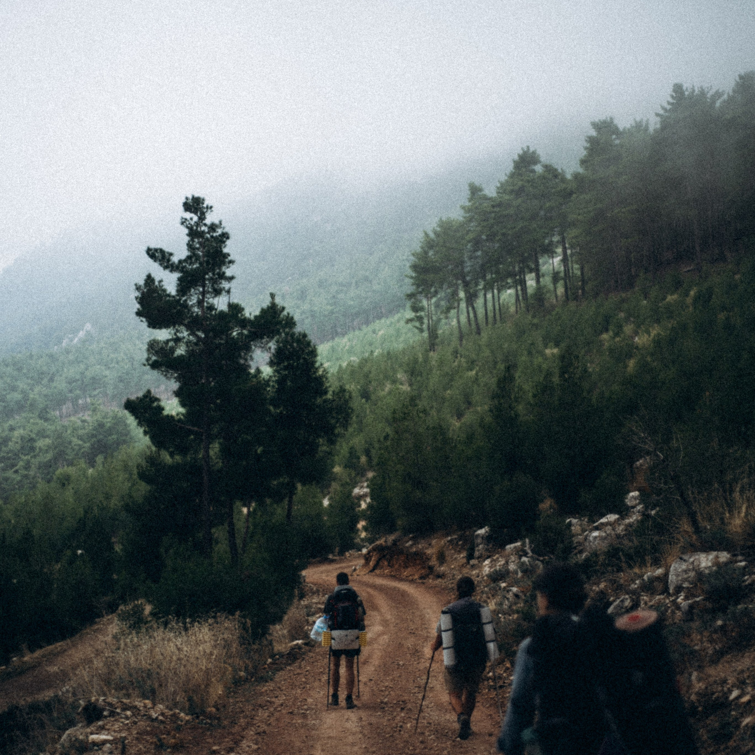 Ликийская Тропа 🇹🇷 Восточная Часть. Anita_photo